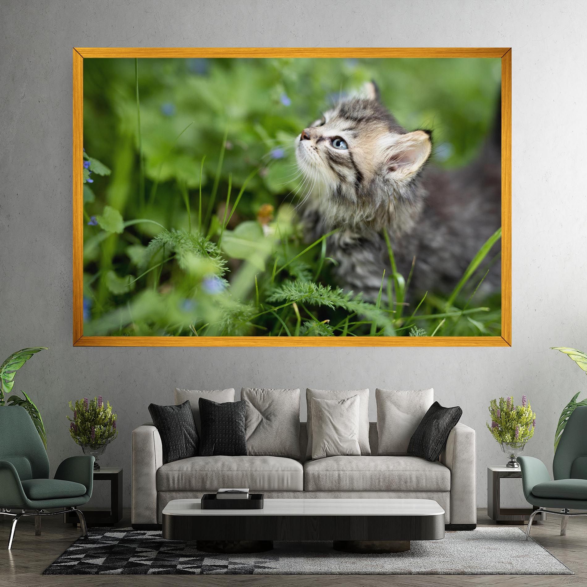 Brown Baby Cat mockup 7