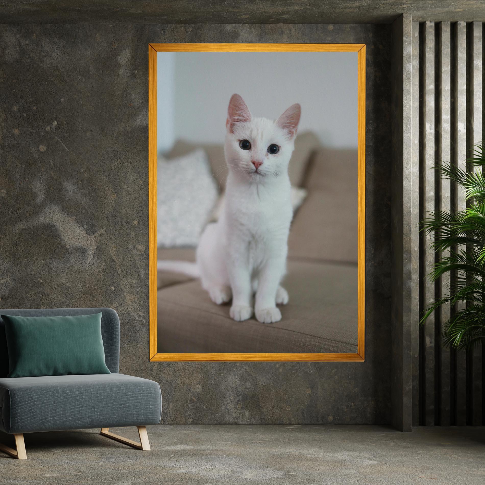 Tablou Canvas Beautiful White Cat mockup 7