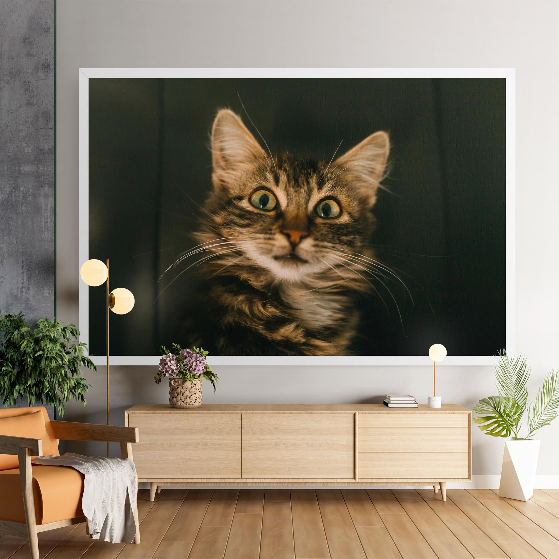 Tablou Canvas Amazed Cat mockup 9