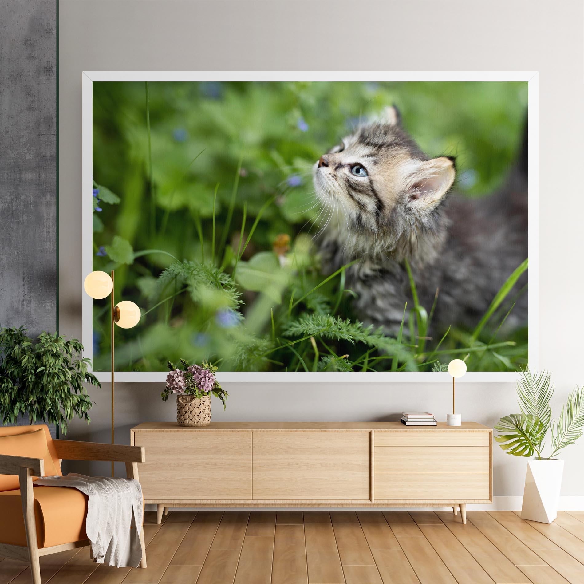 Tablou Canvas Brown Baby Cat mockup 9