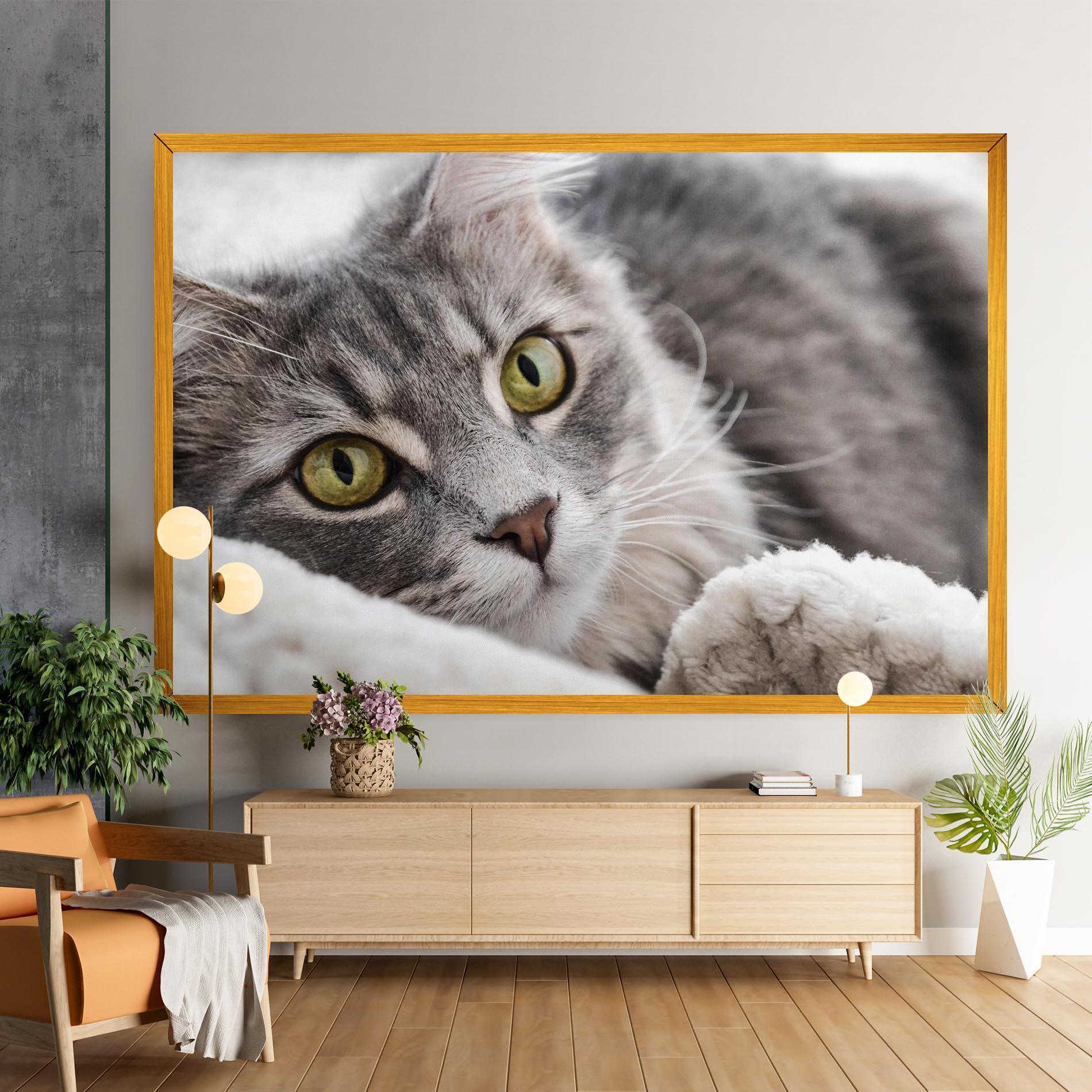 Tablou Canvas Grey Fluffy Cat mockup 9