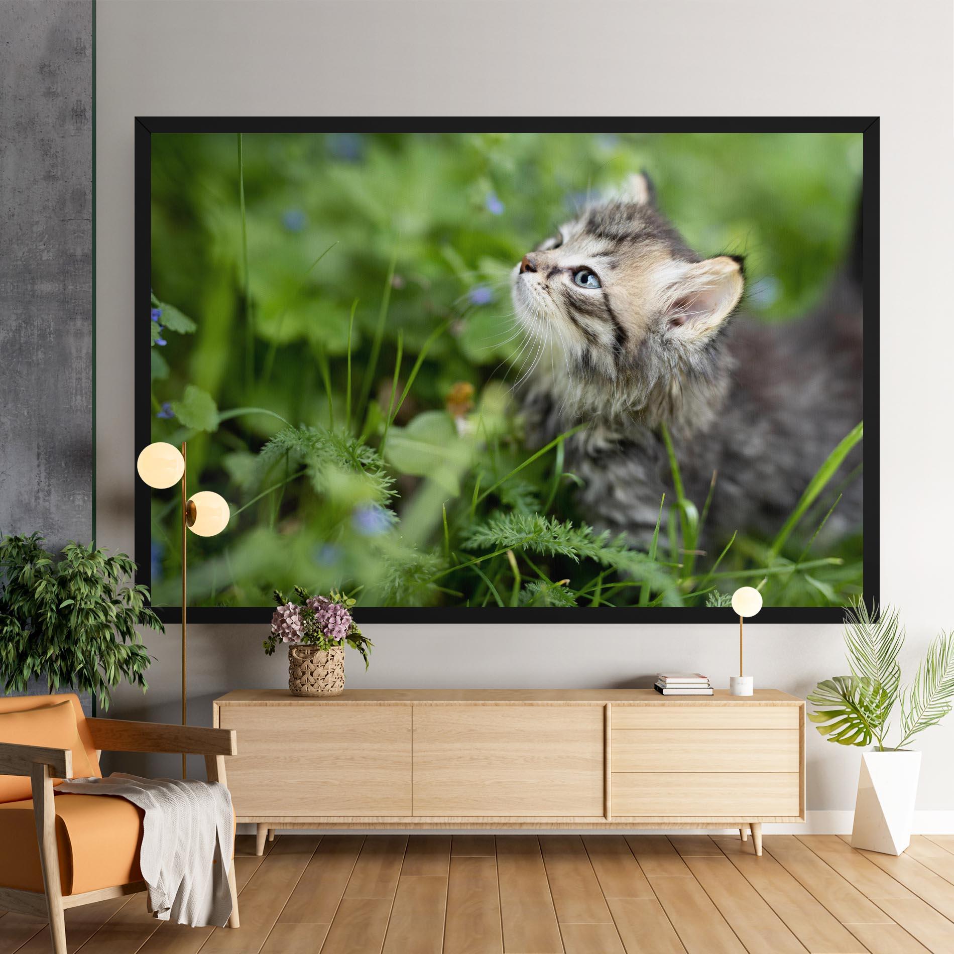 Tablou Canvas Brown Baby Cat mockup 9