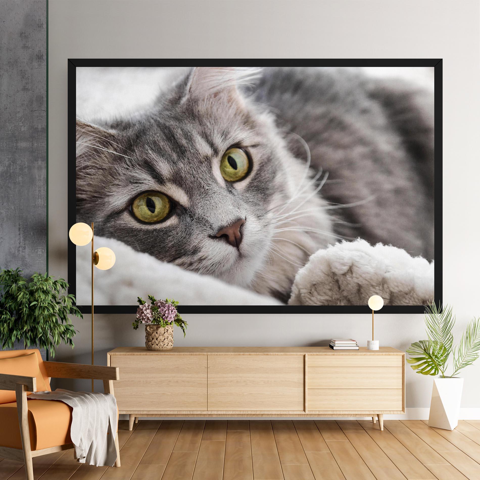 Tablou Canvas Grey Fluffy Cat mockup 9