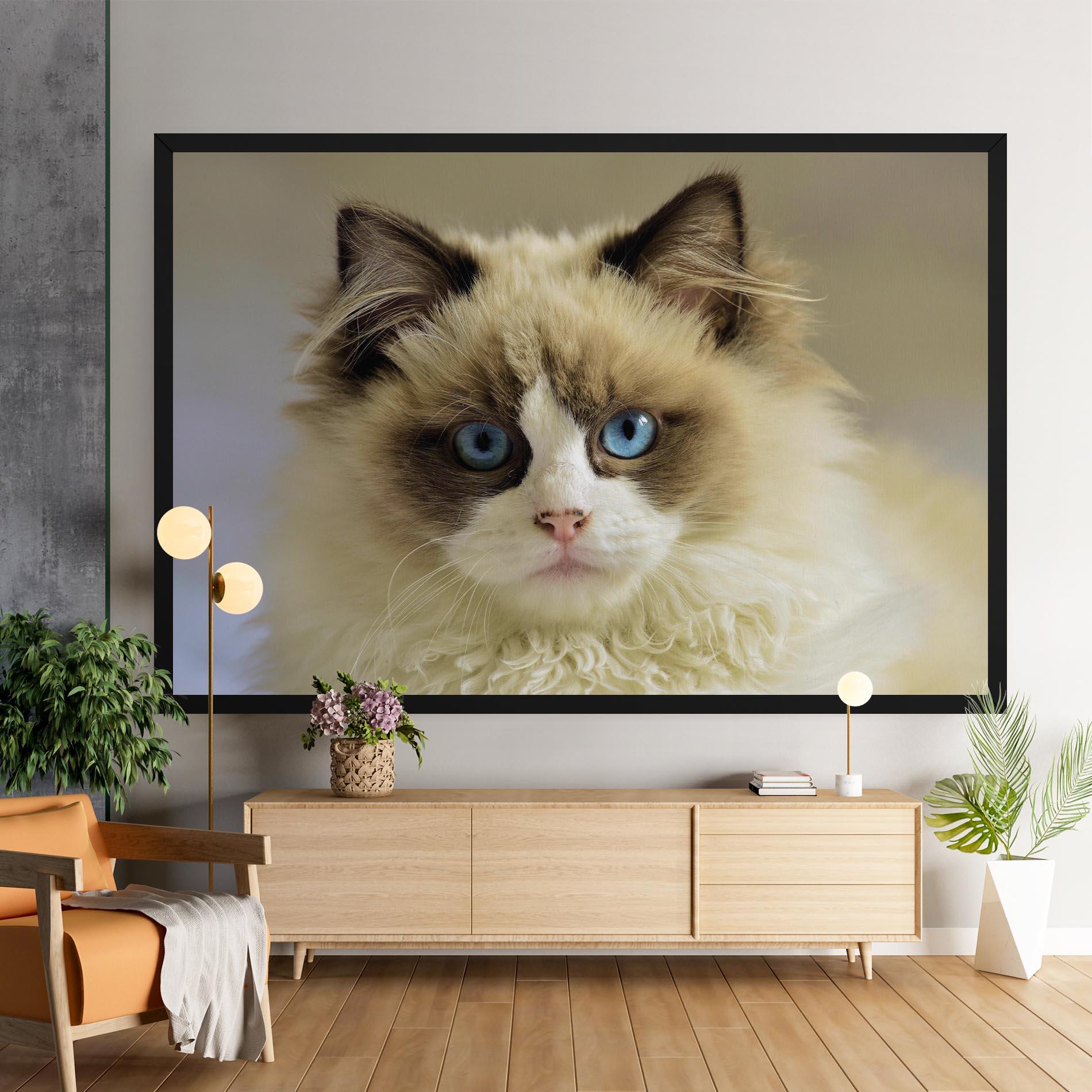 Tablou Canvas Interesting Blue Eyes Cat mockup 9