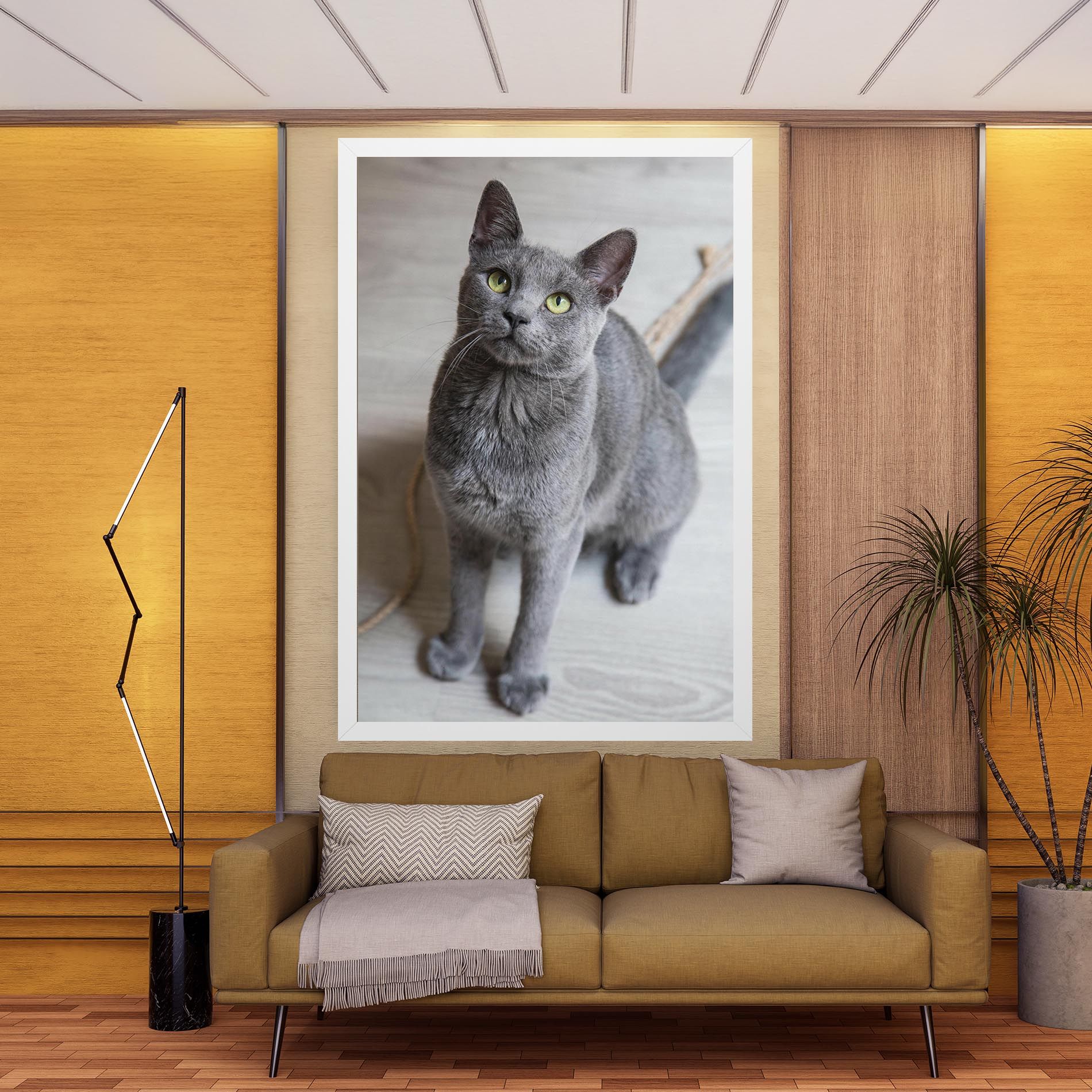 Grey Green Cat Eyes mockup 9