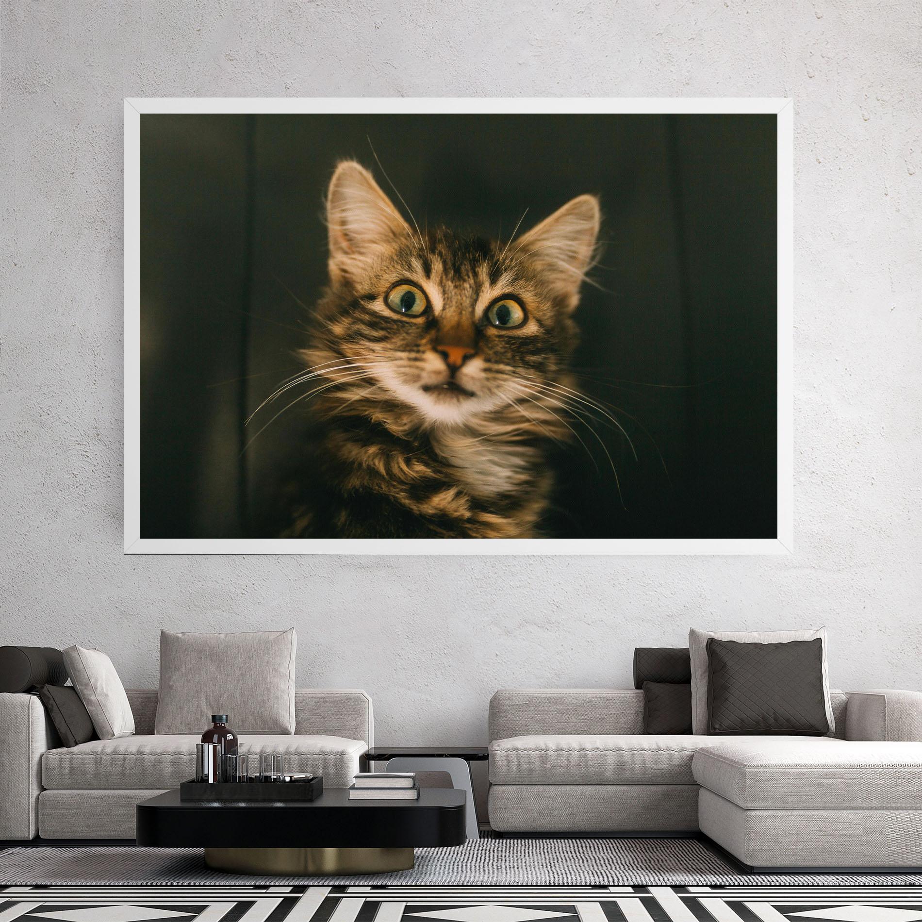 Tablou Canvas Amazed Cat mockup 2