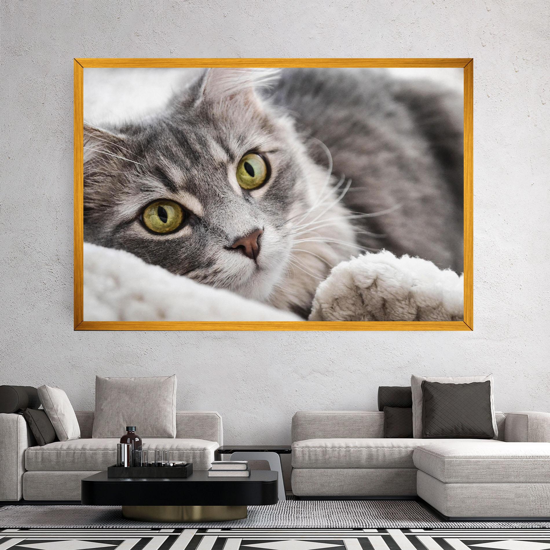 Tablou Canvas Grey Fluffy Cat mockup 2