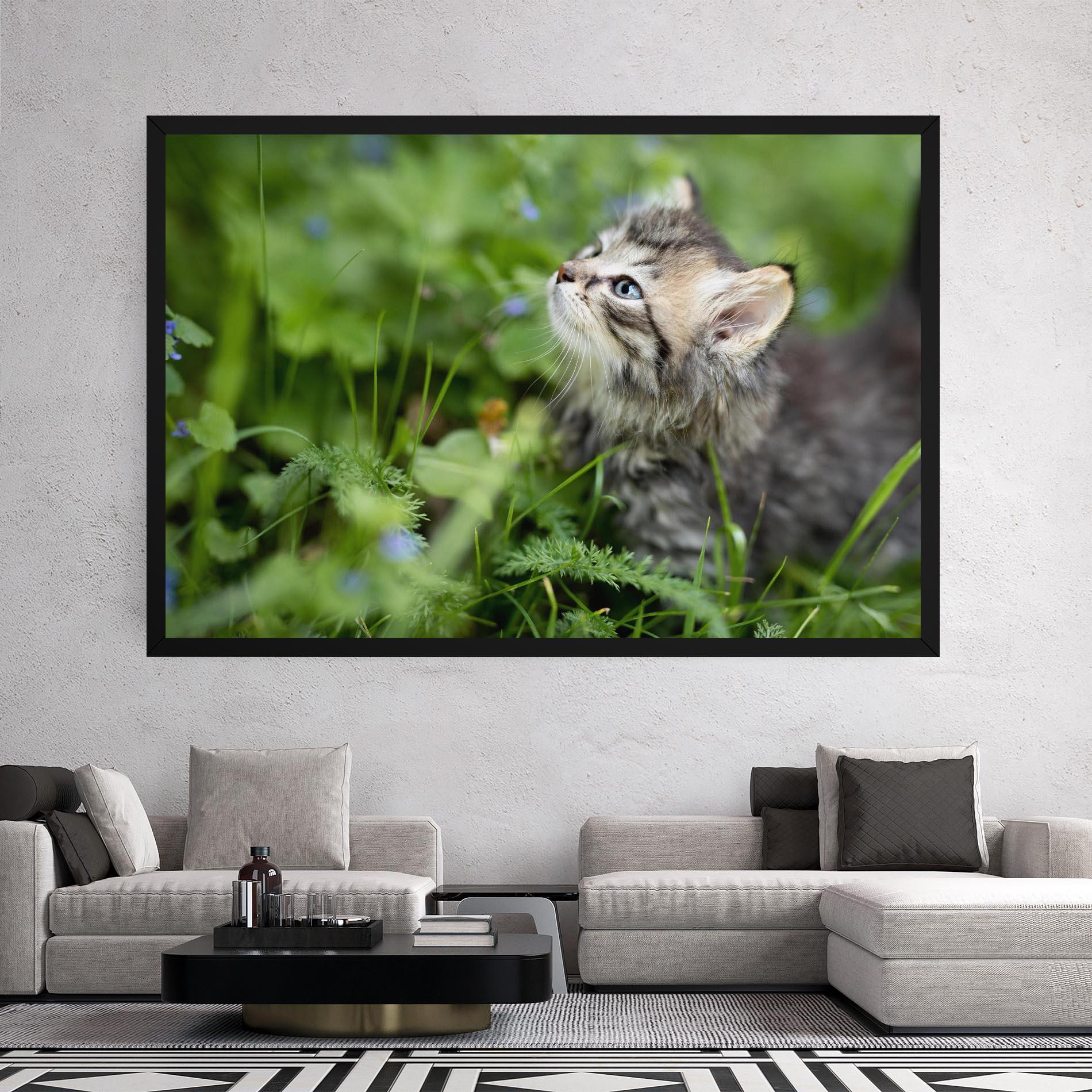 Tablou Canvas Brown Baby Cat mockup 2