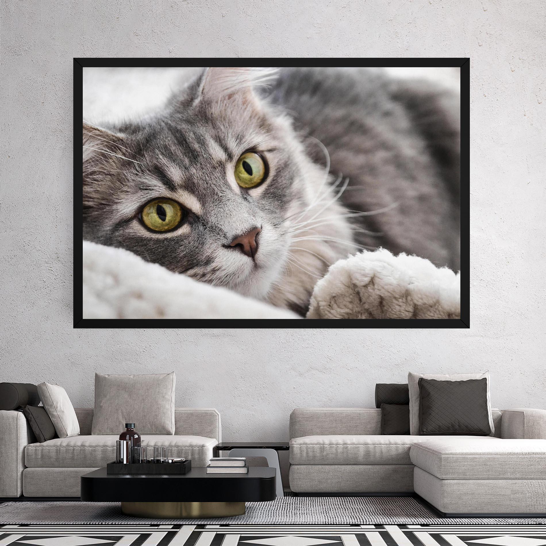 Tablou Canvas Grey Fluffy Cat mockup 2