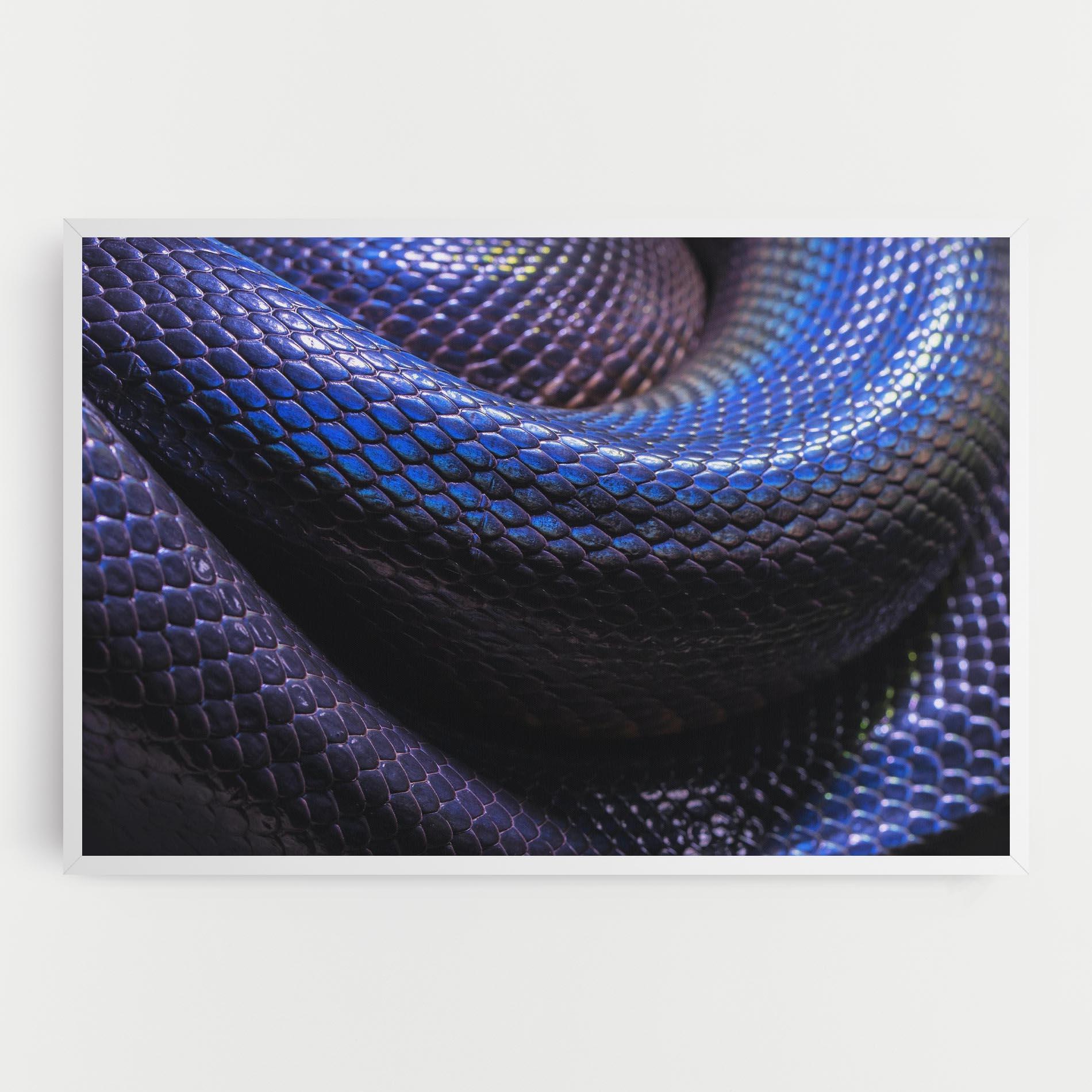 Tablou Canvas Snake Skin mockup 0
