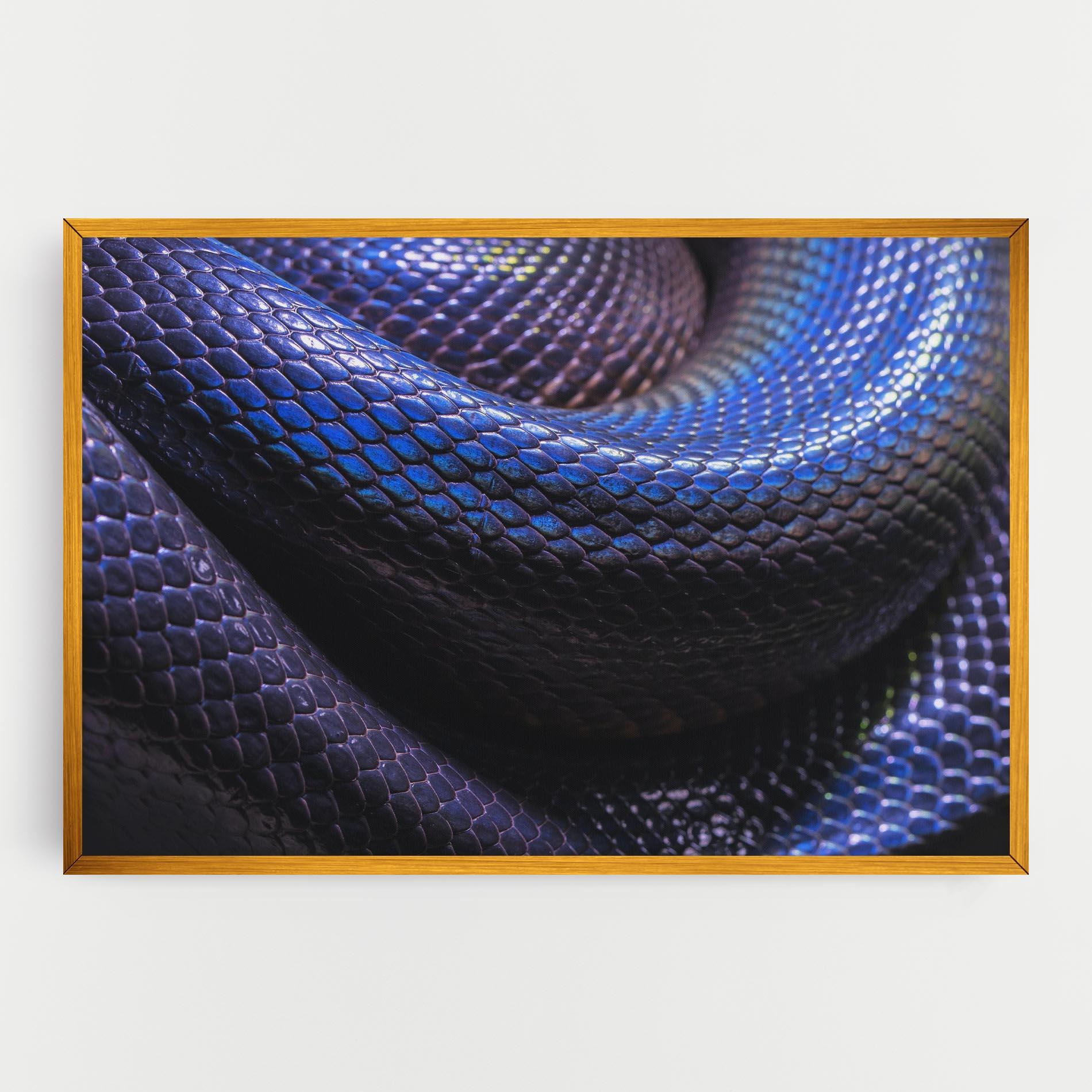 Tablou Canvas Snake Skin mockup 0