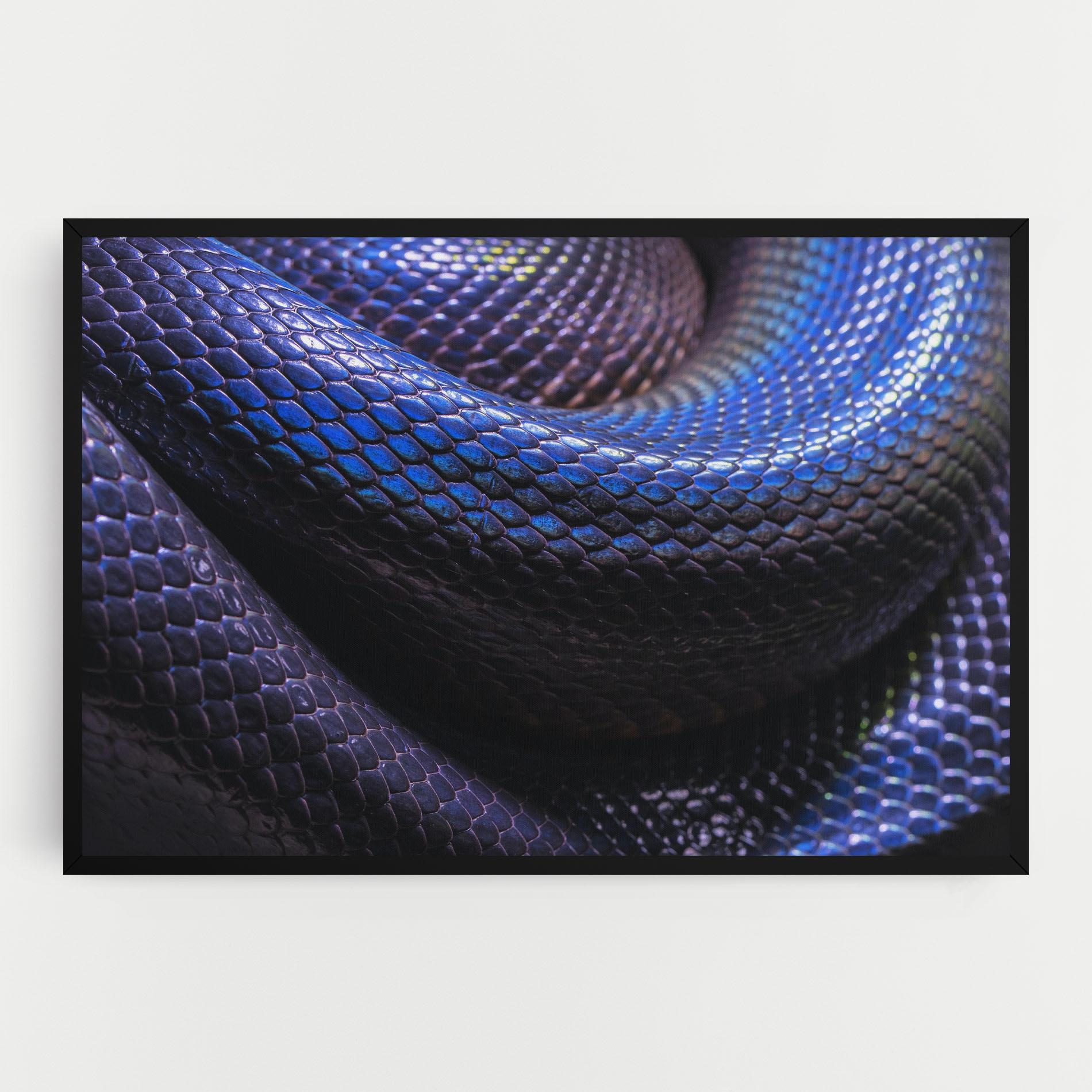 Tablou Canvas Snake Skin mockup 0