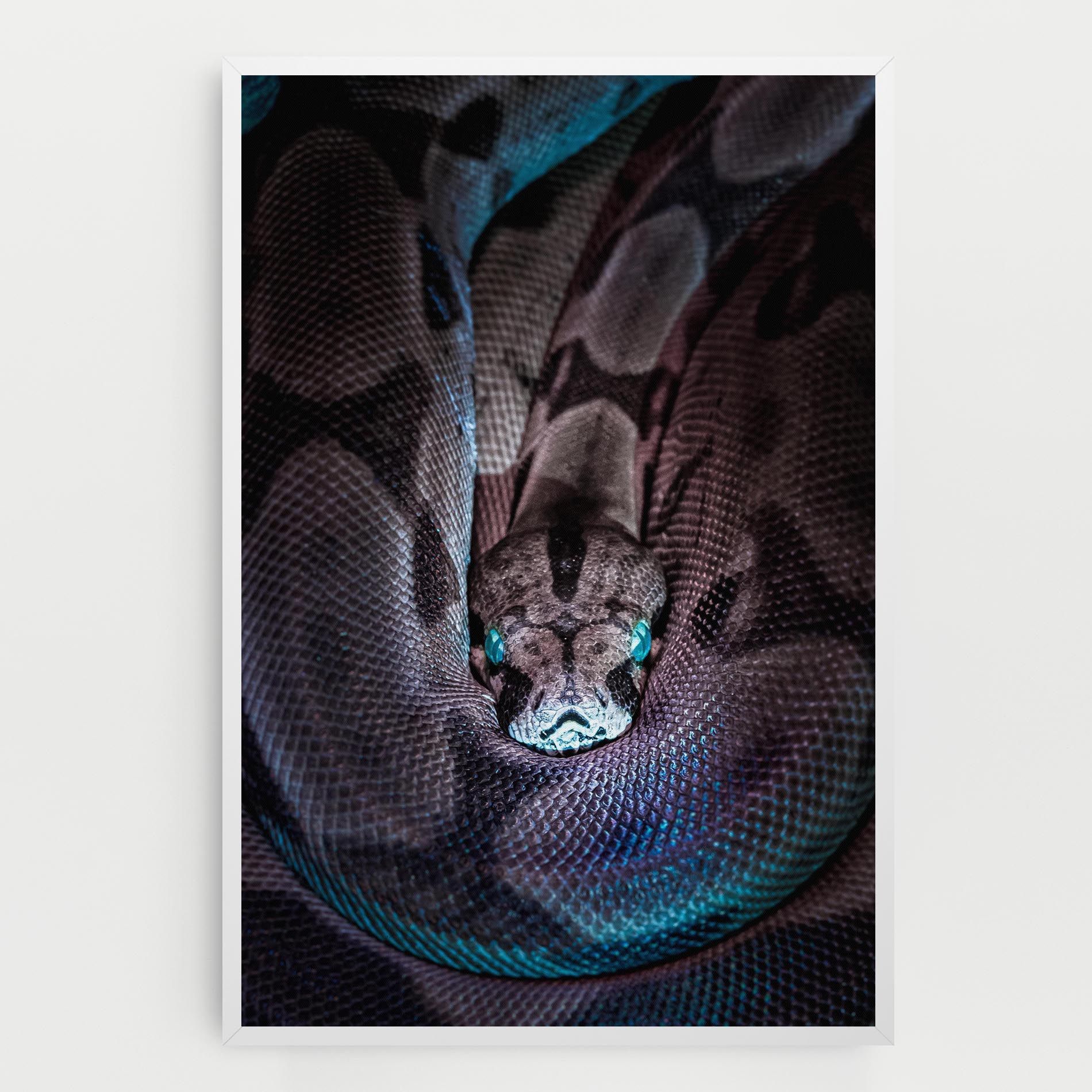 Vibrant Snake mockup 0