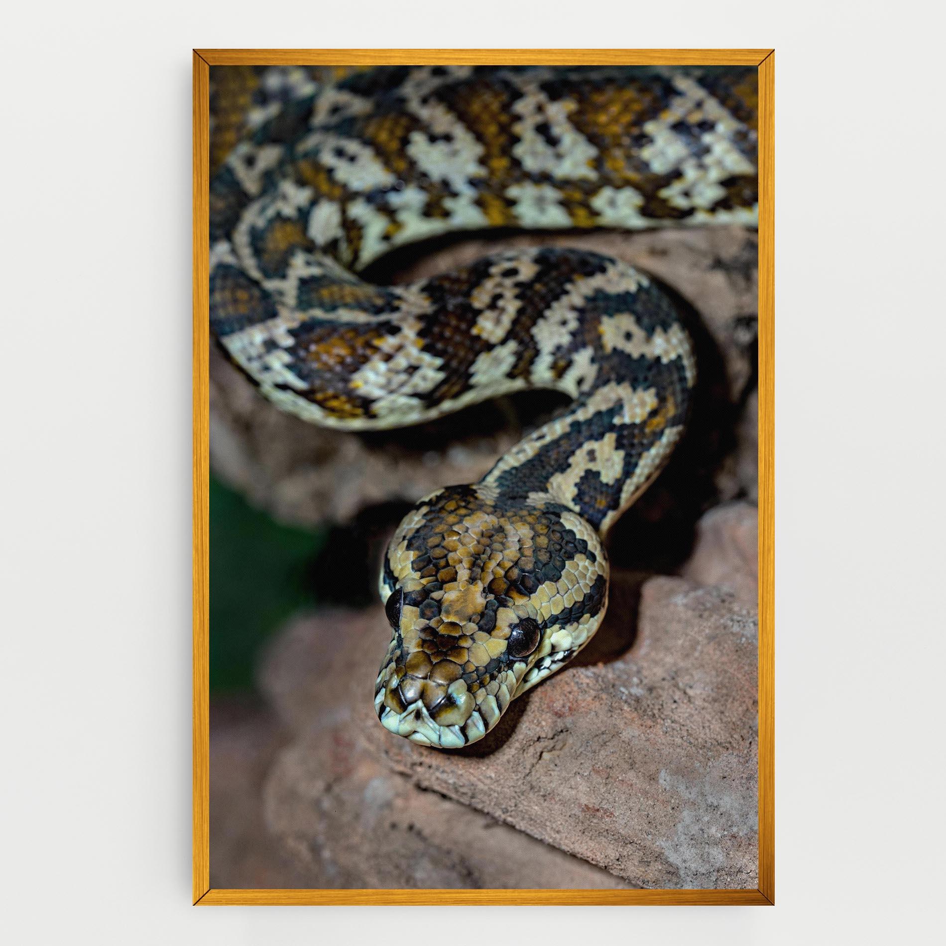 Tablou Canvas King Snake mockup 0