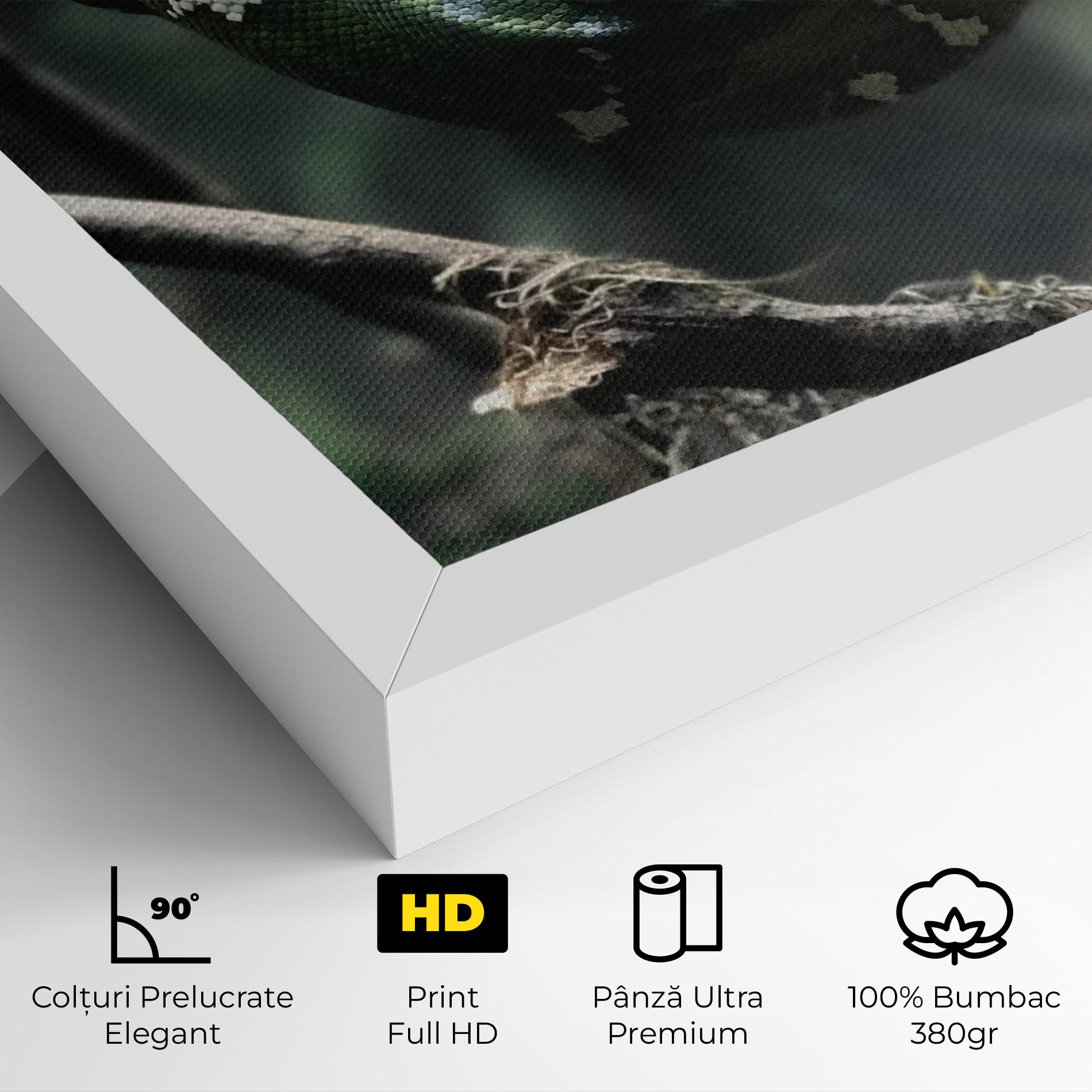 Tablou Canvas Sleepy Snake mockup 4