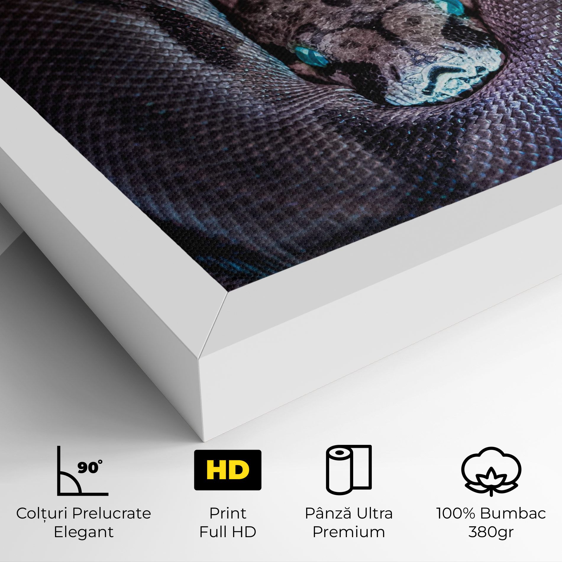 Vibrant Snake mockup 4