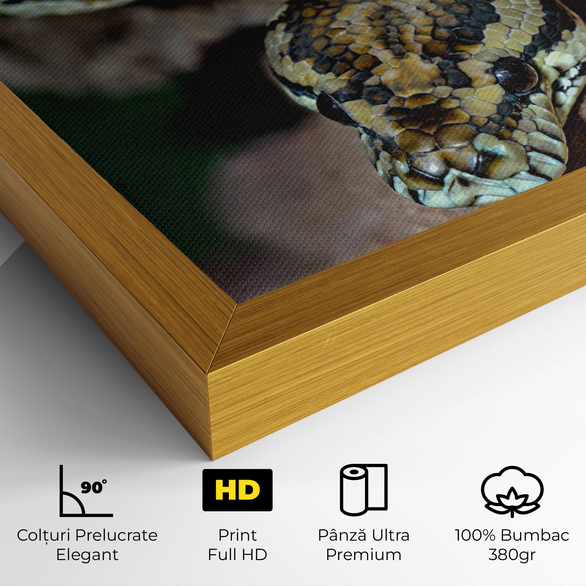 Tablou Canvas King Snake mockup 4