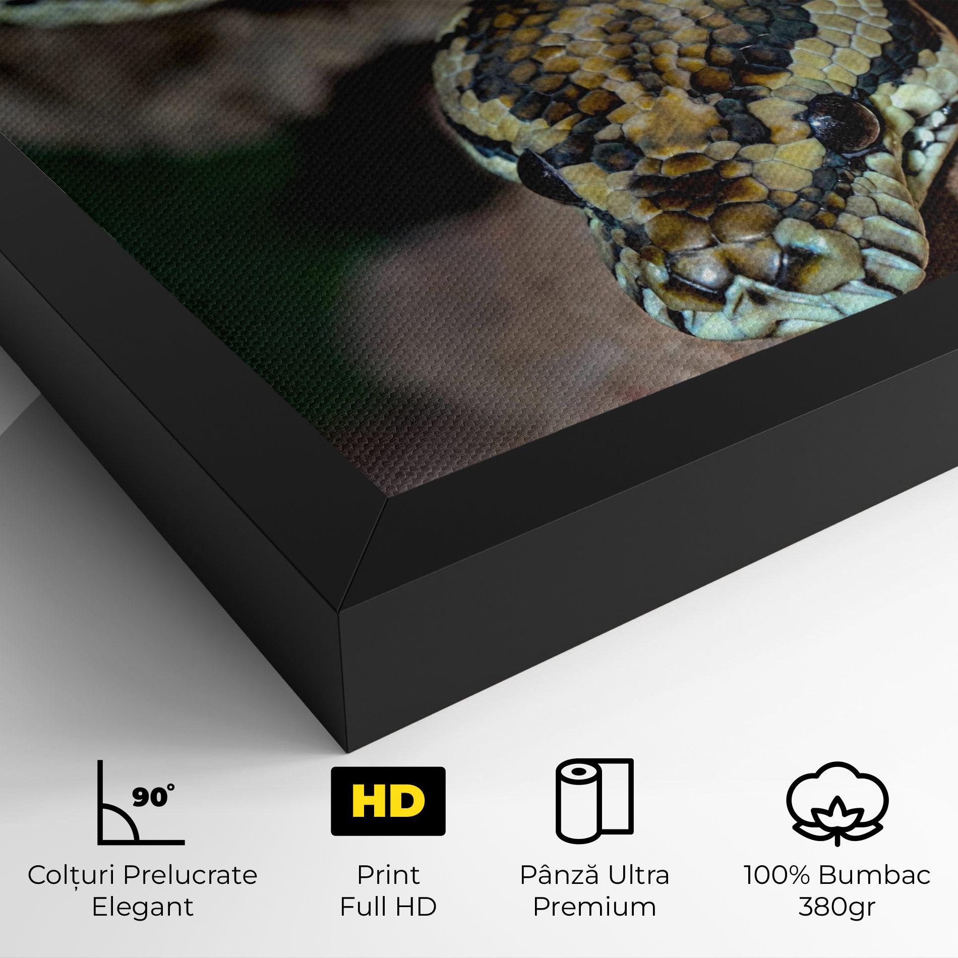 Tablou Canvas King Snake mockup 4