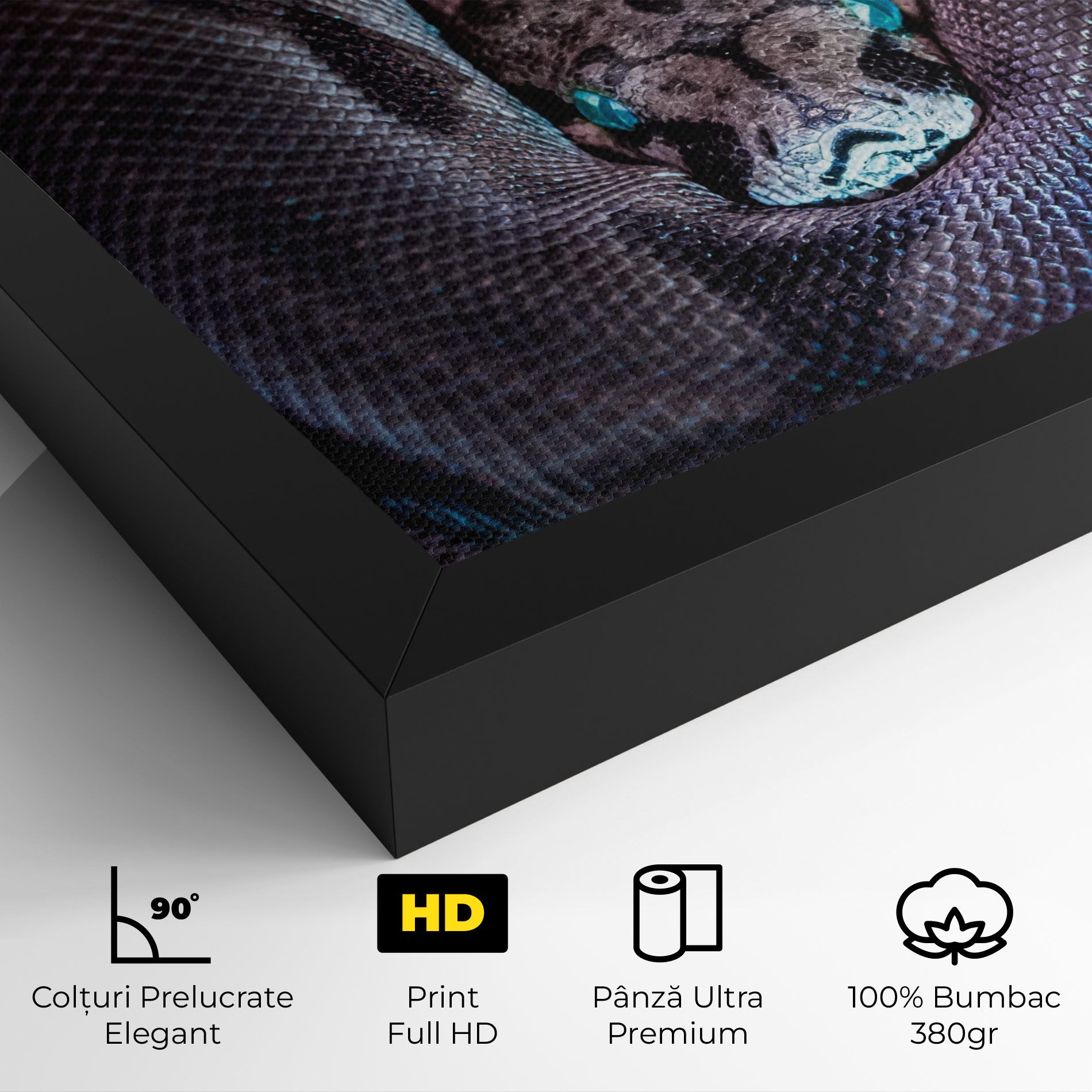 Vibrant Snake mockup 4