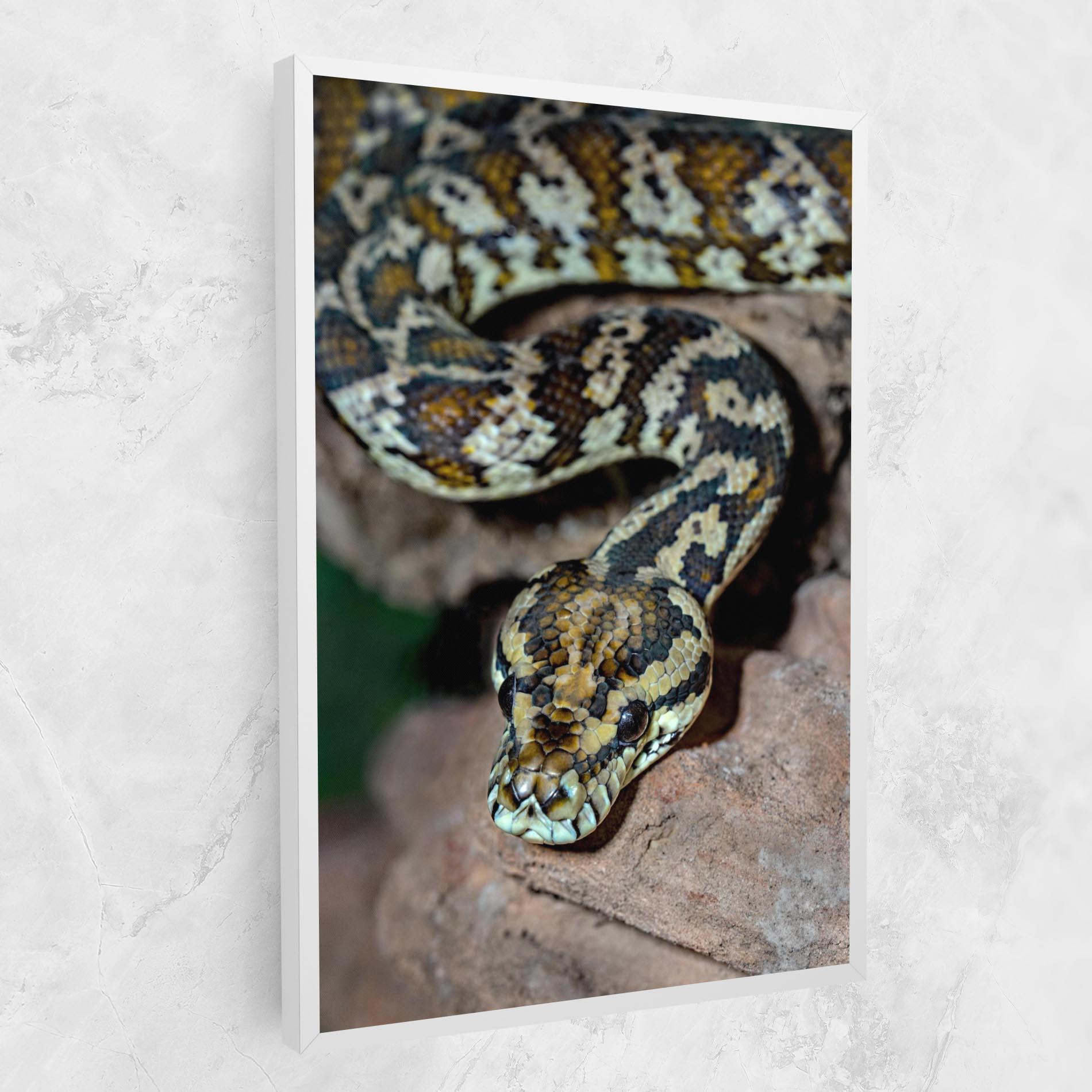 Tablou Canvas King Snake mockup 1