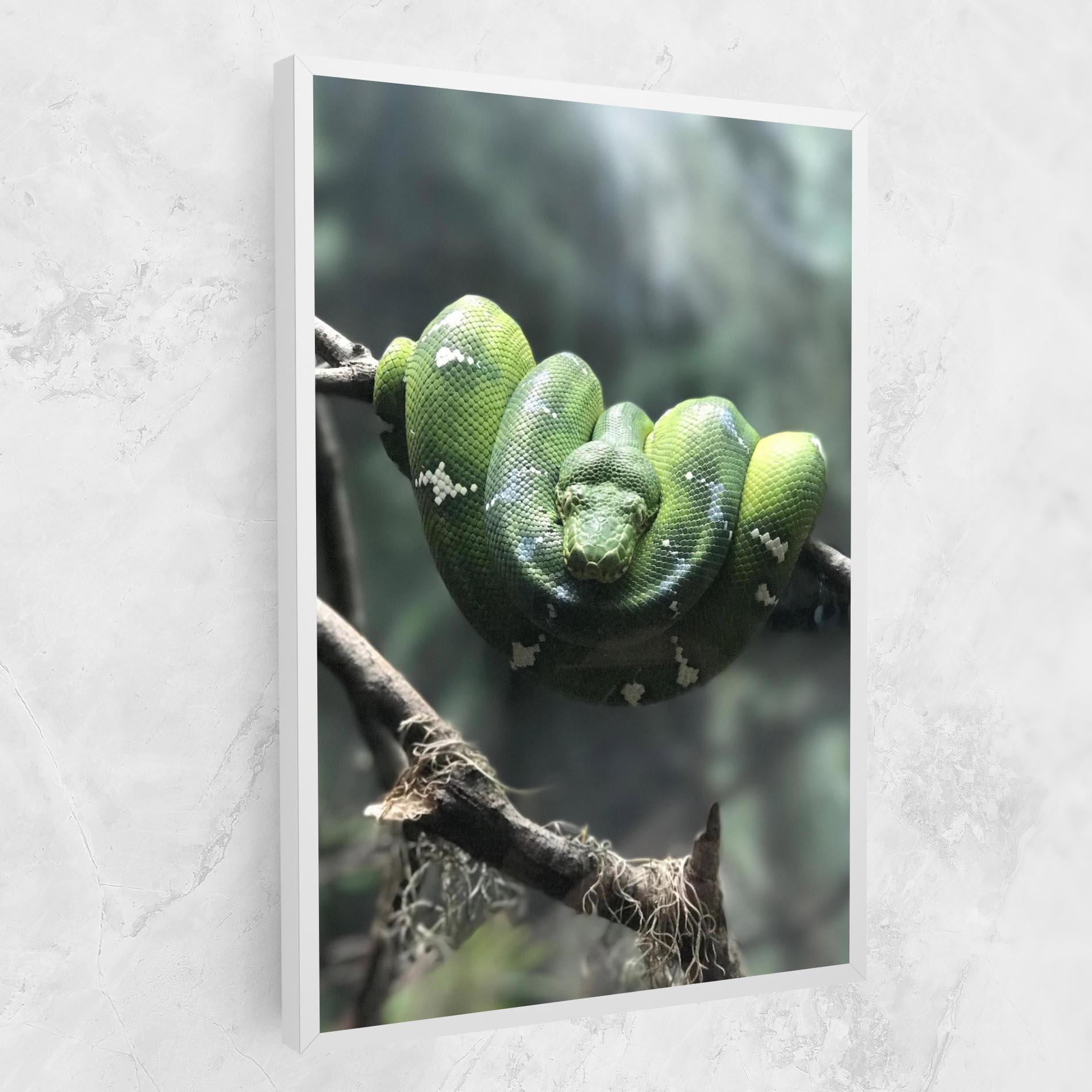Tablou Canvas Sleepy Snake mockup 1
