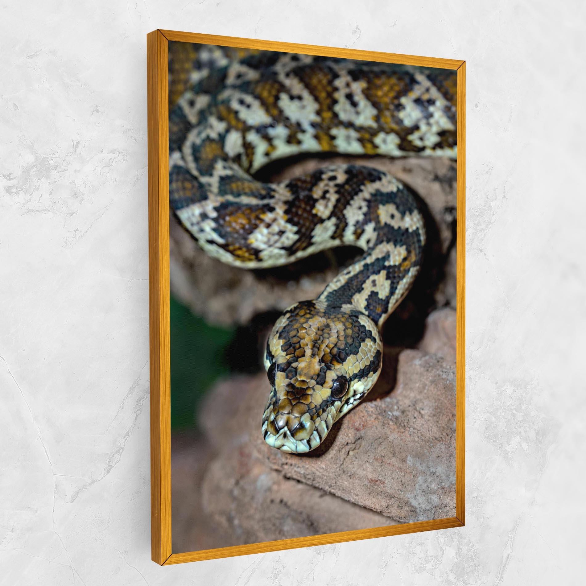 Tablou Canvas King Snake mockup 1