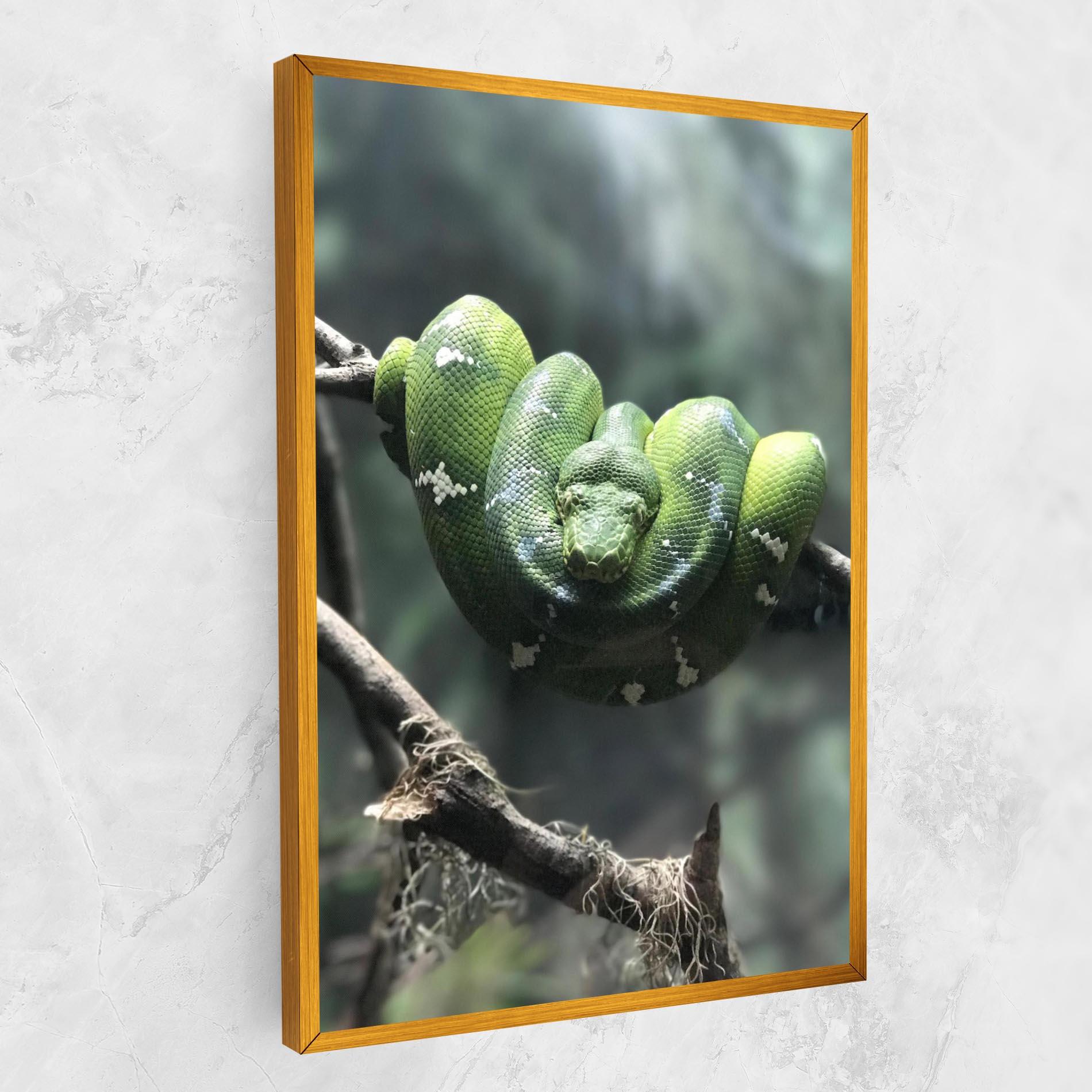Tablou Canvas Sleepy Snake mockup 1