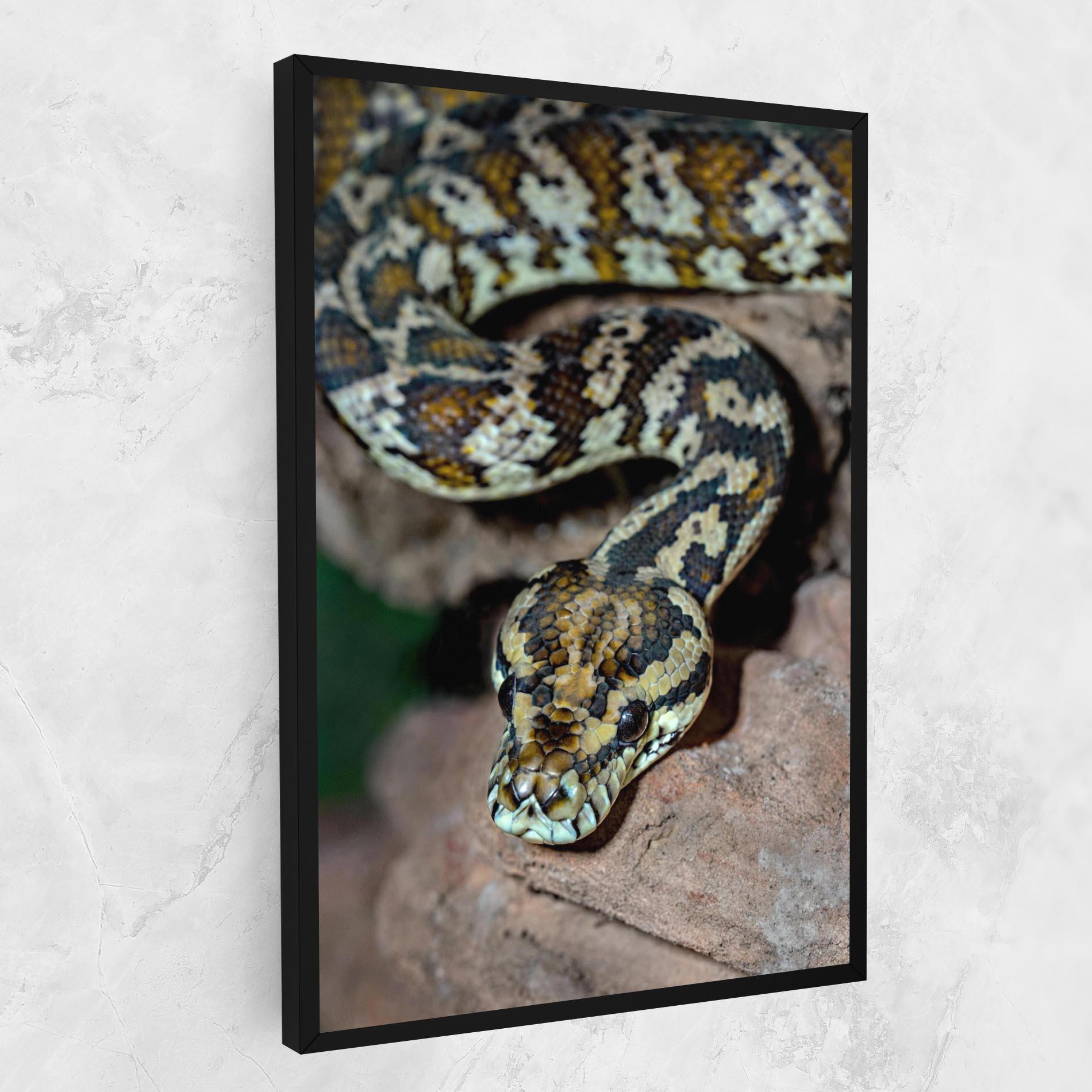 Tablou Canvas King Snake mockup 1