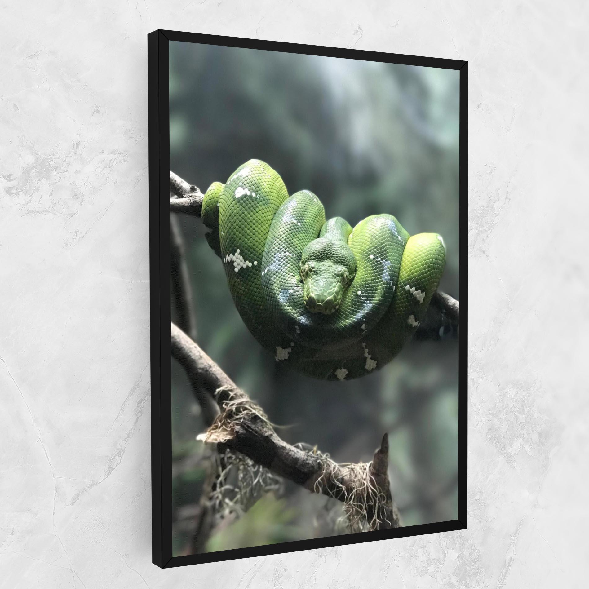 Tablou Canvas Sleepy Snake mockup 1