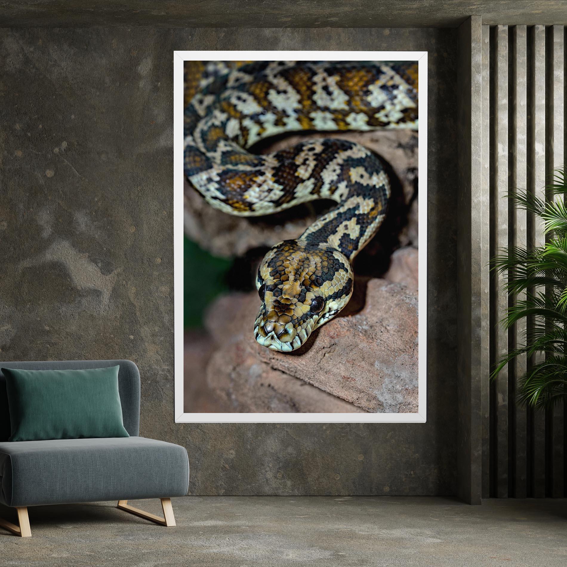 Tablou Canvas King Snake mockup 7