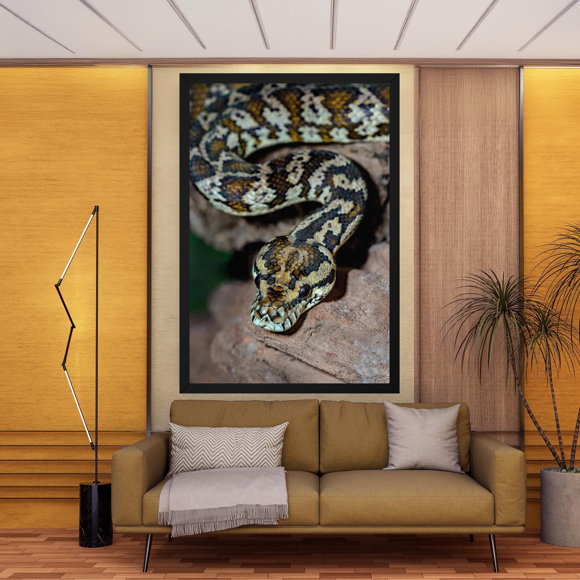 Tablou Canvas King Snake mockup 9