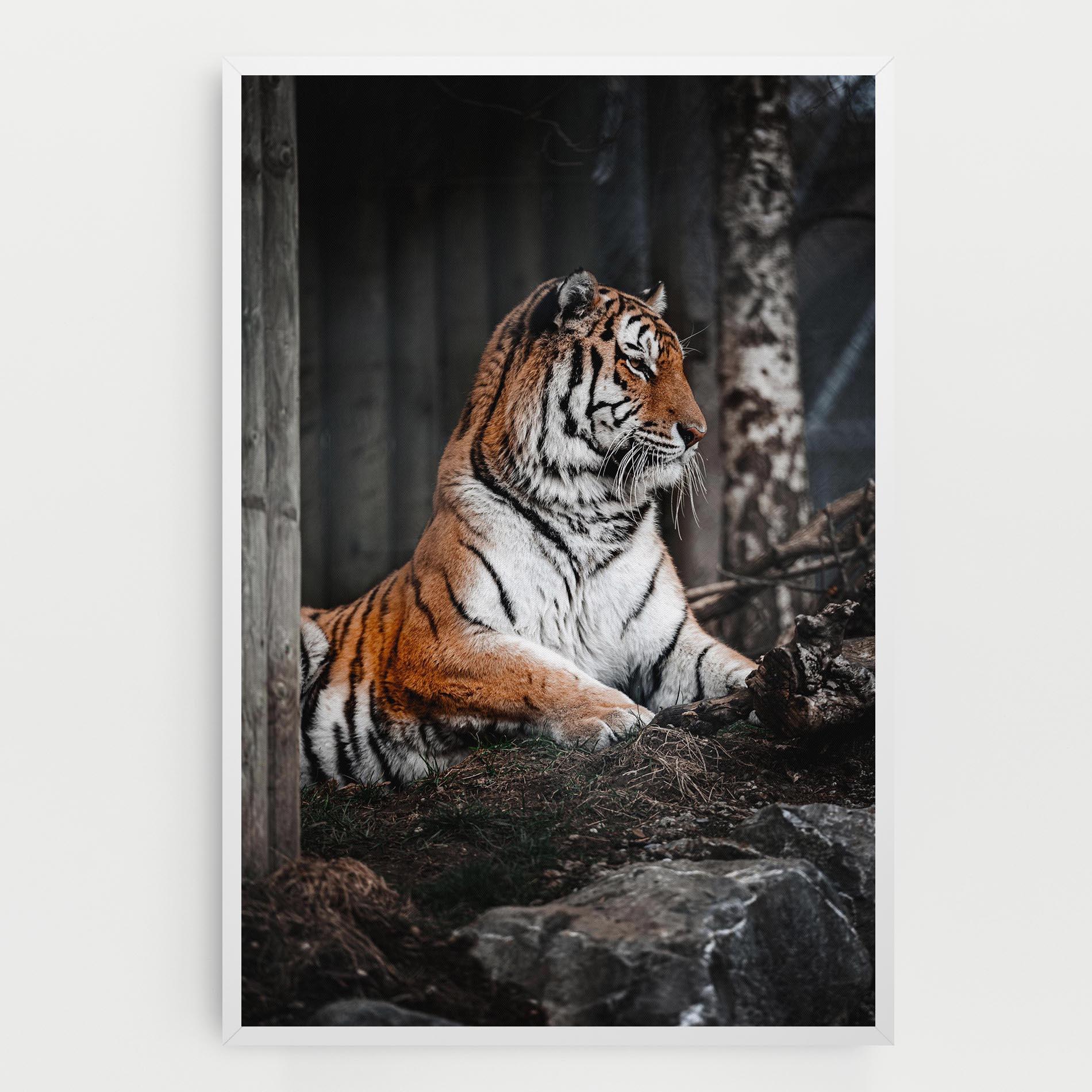 Tablou Canvas Forest Tiger mockup 0