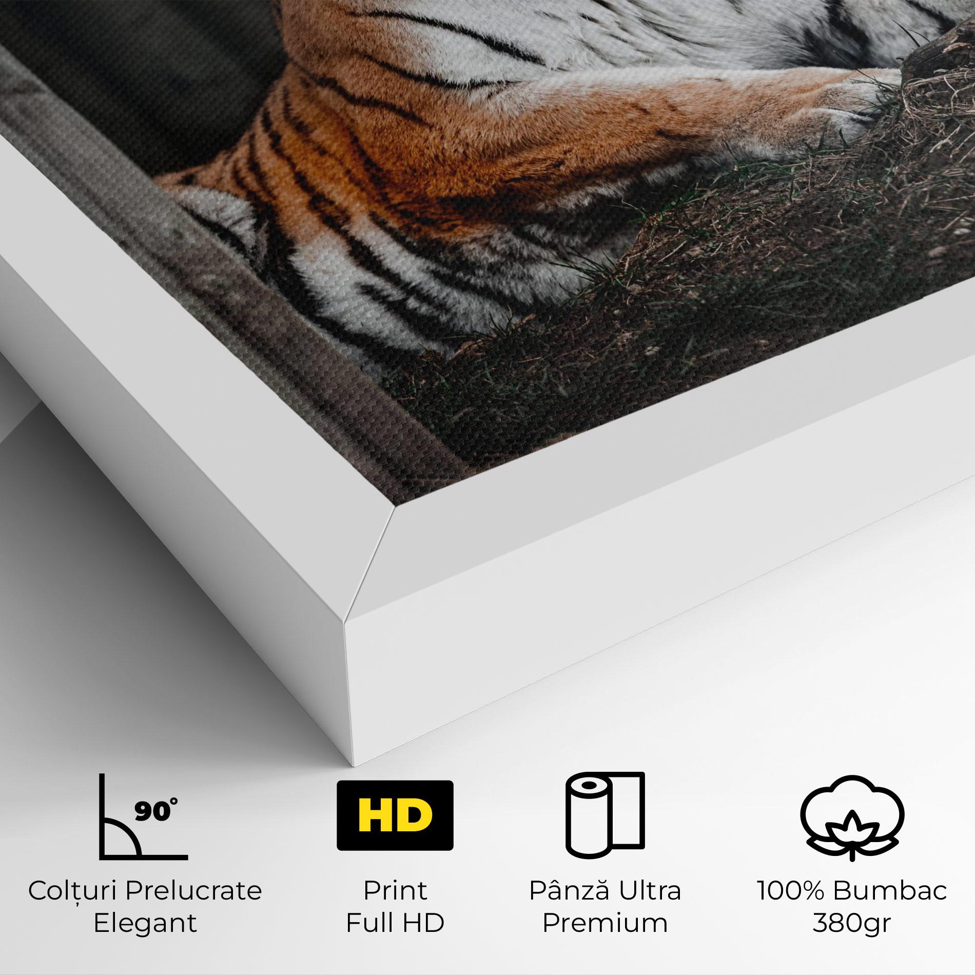 Tablou Canvas Forest Tiger mockup 4