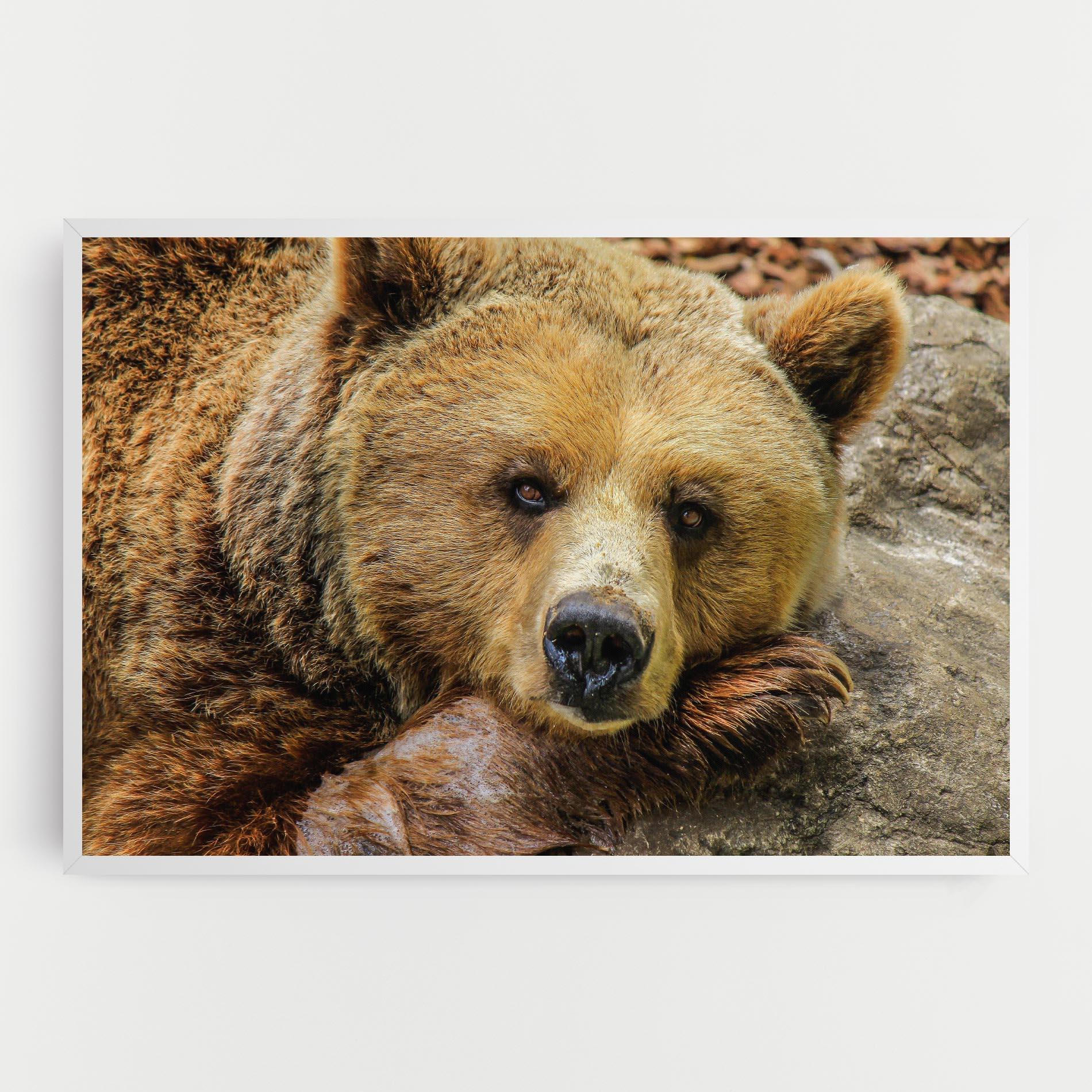Tablou Canvas Bear mockup 0