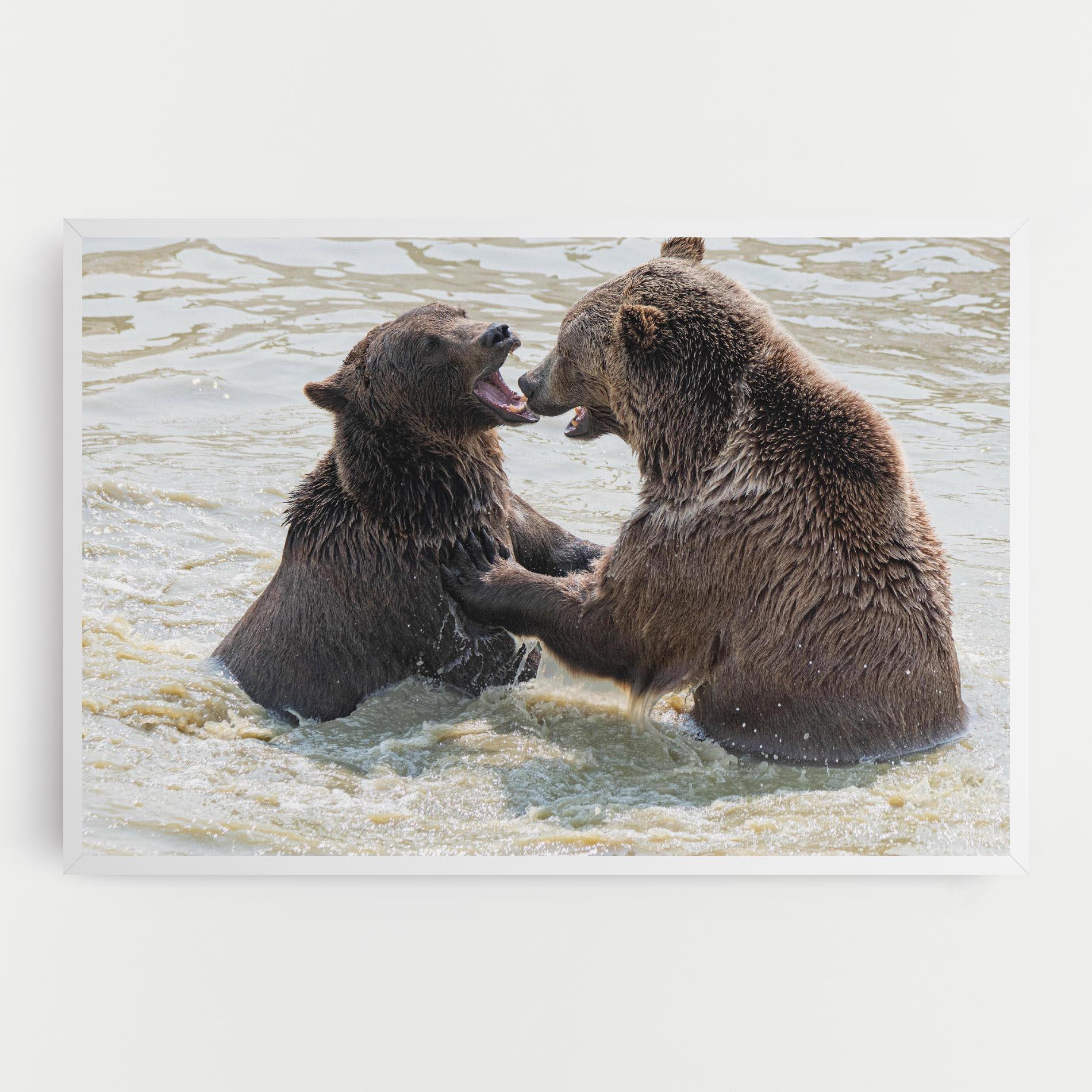Tablou Canvas Bears Fighting mockup 0