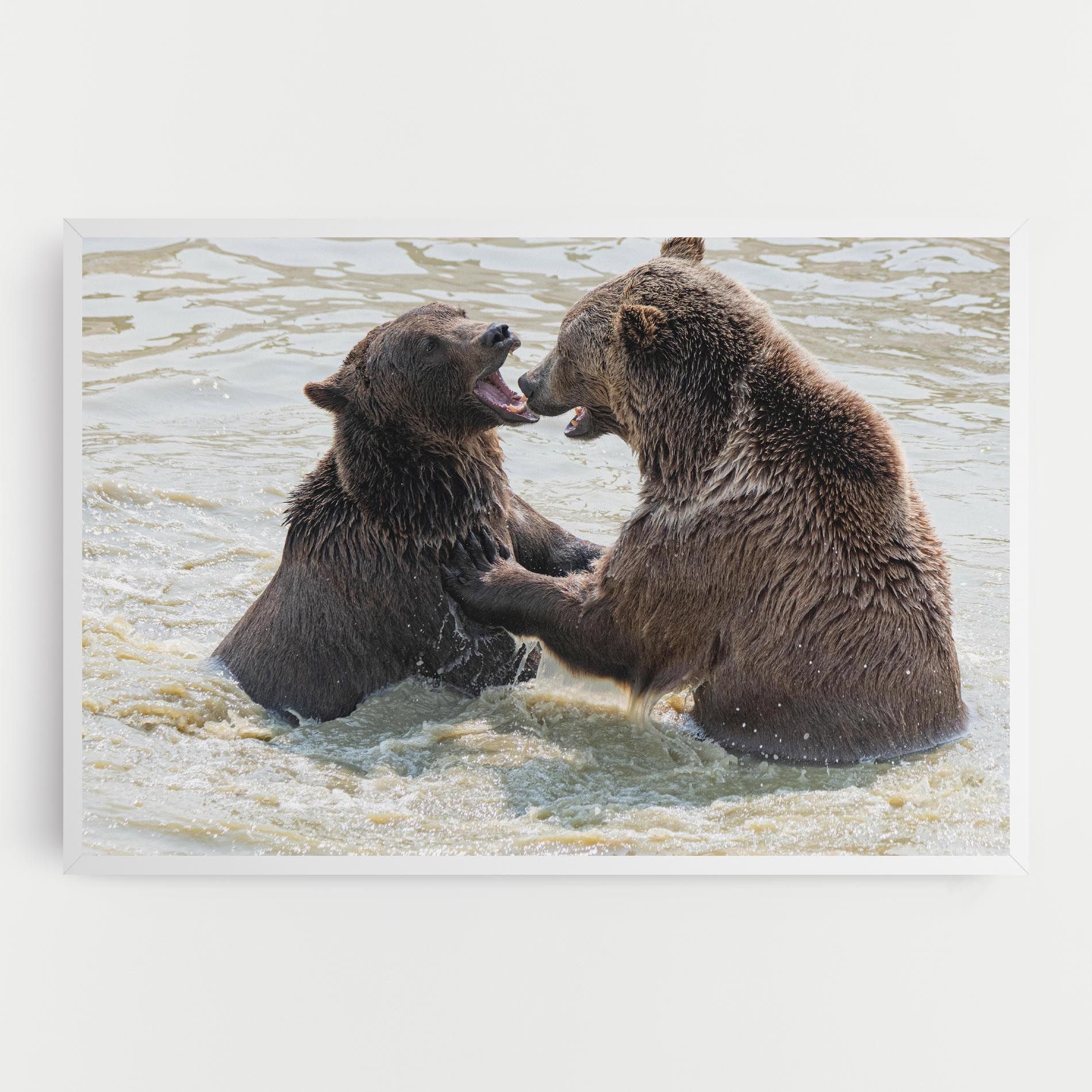 Bears Fighting mockup 0