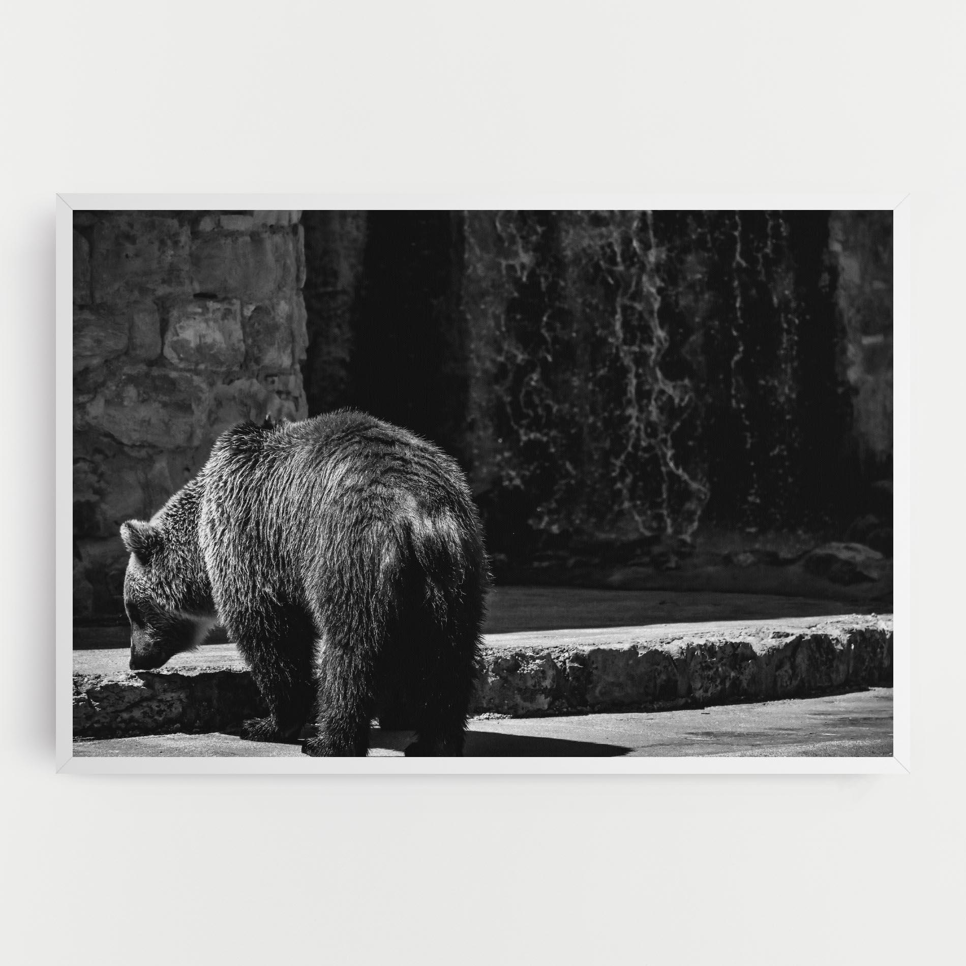 Tablou Canvas Grey Bear mockup 0