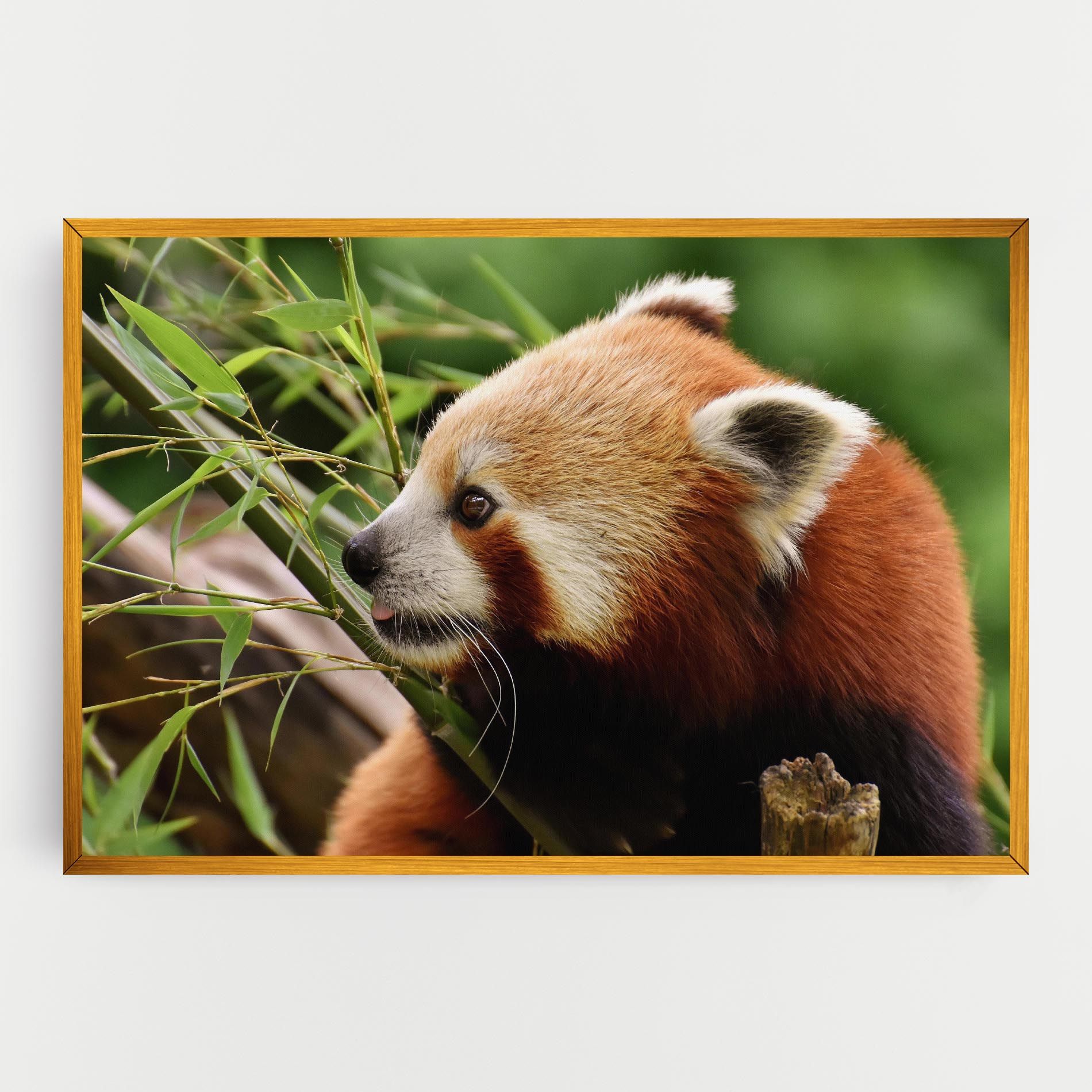 Cute Red Panda mockup 0