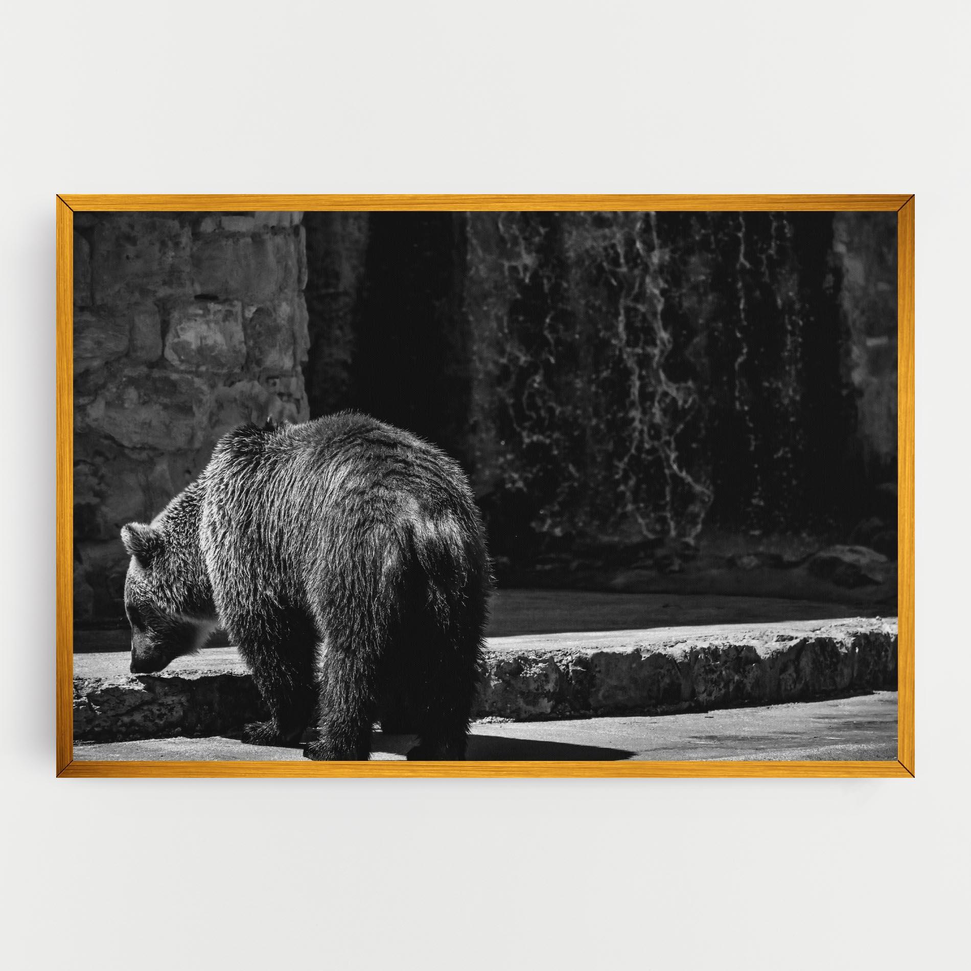 Tablou Canvas Grey Bear mockup 0