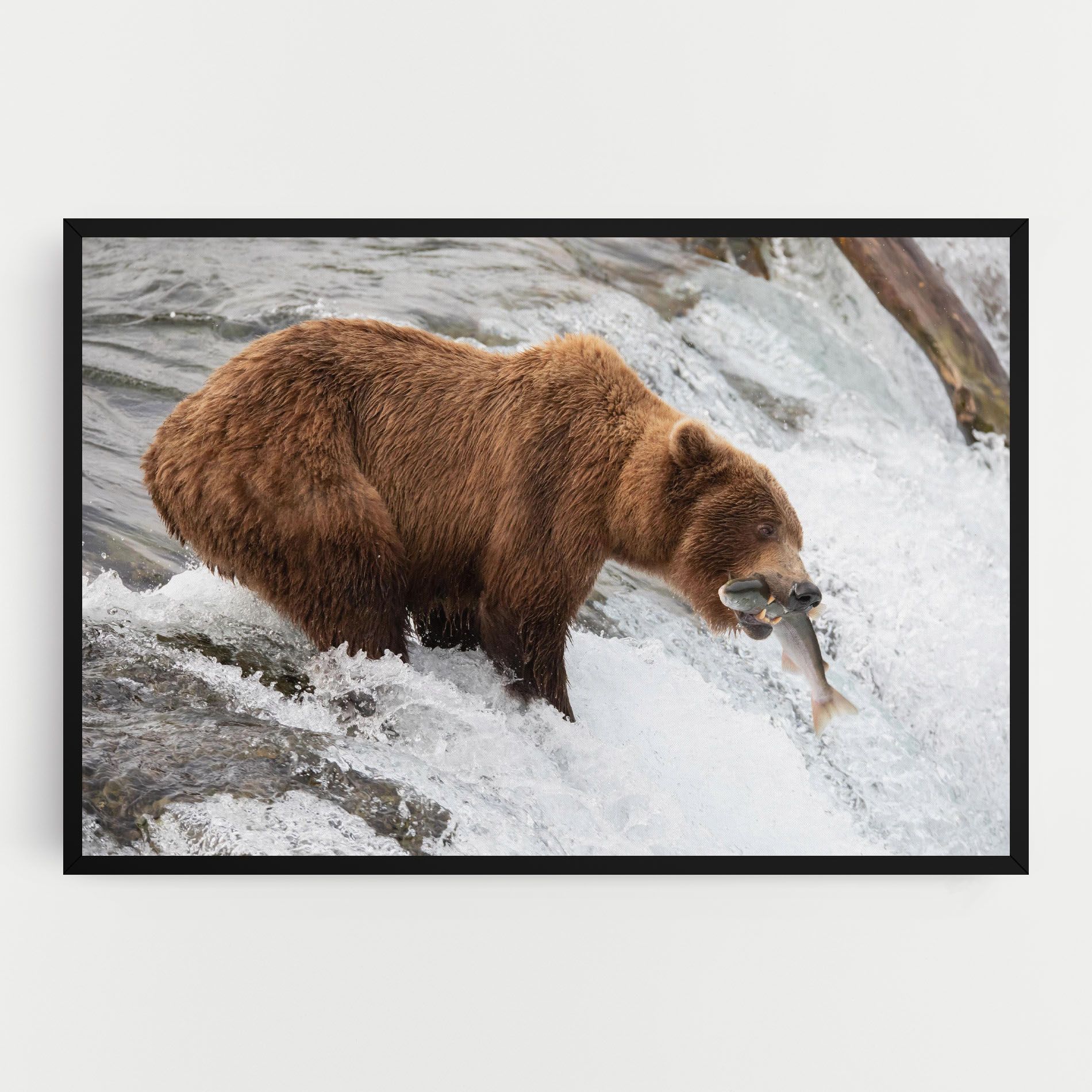 Bear Hunting mockup 0