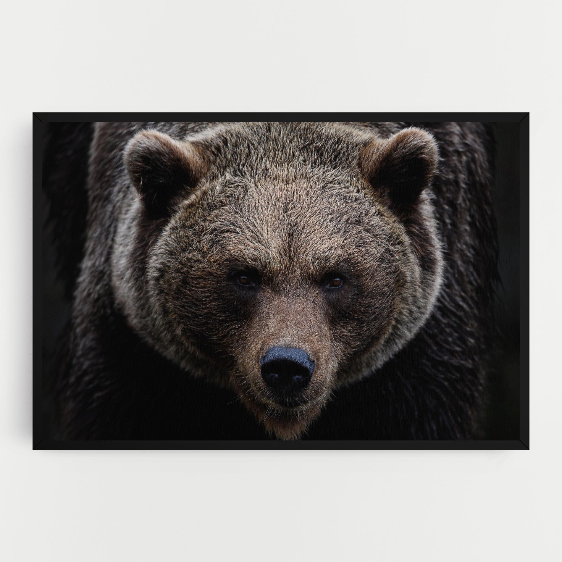 Brown Bear mockup 0
