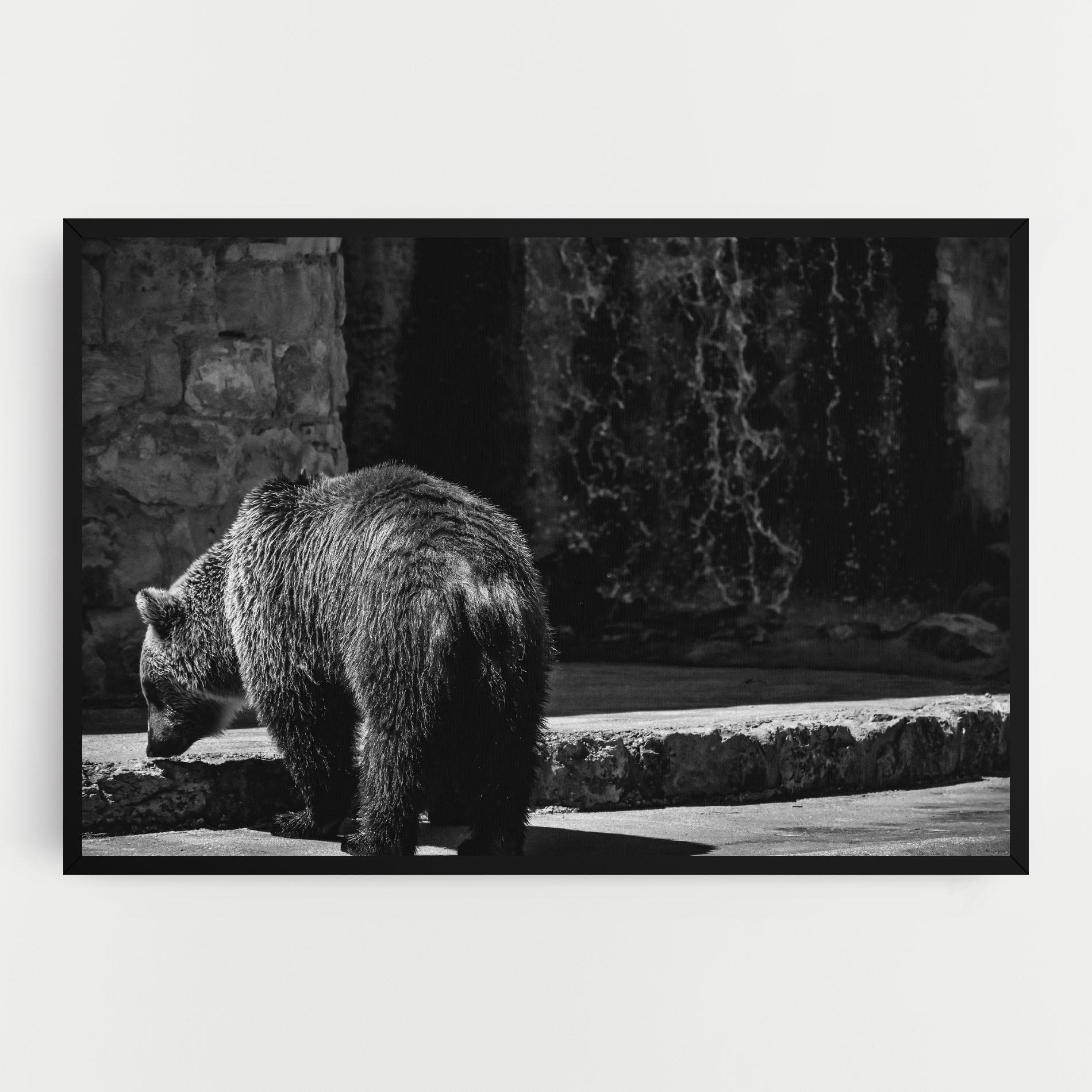 Tablou Canvas Grey Bear mockup 0