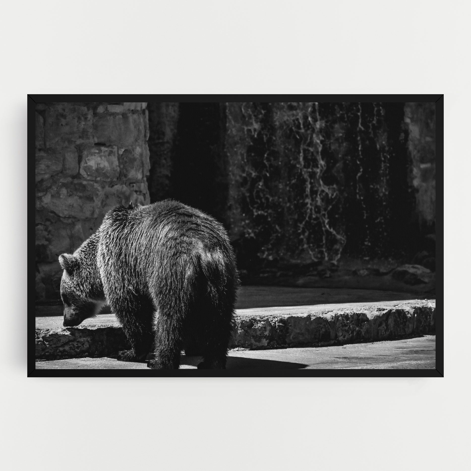 Grey Bear mockup 0