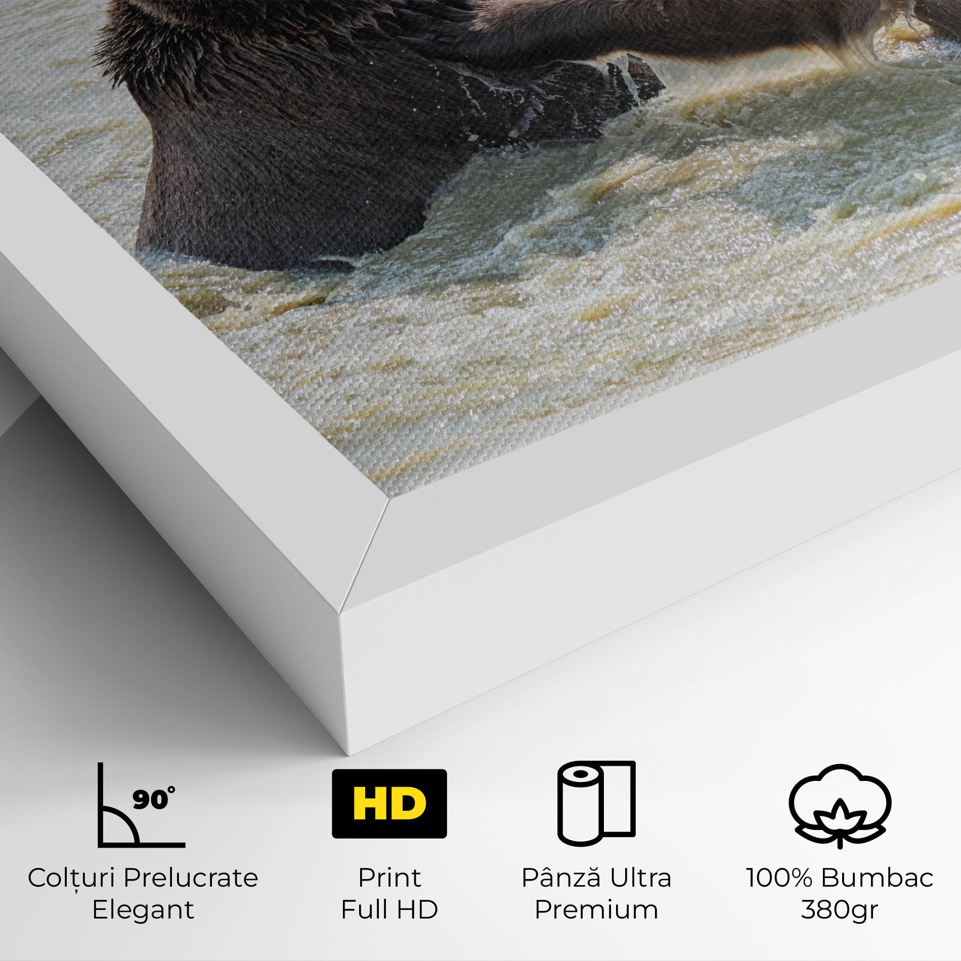 Tablou Canvas Bears Fighting mockup 4