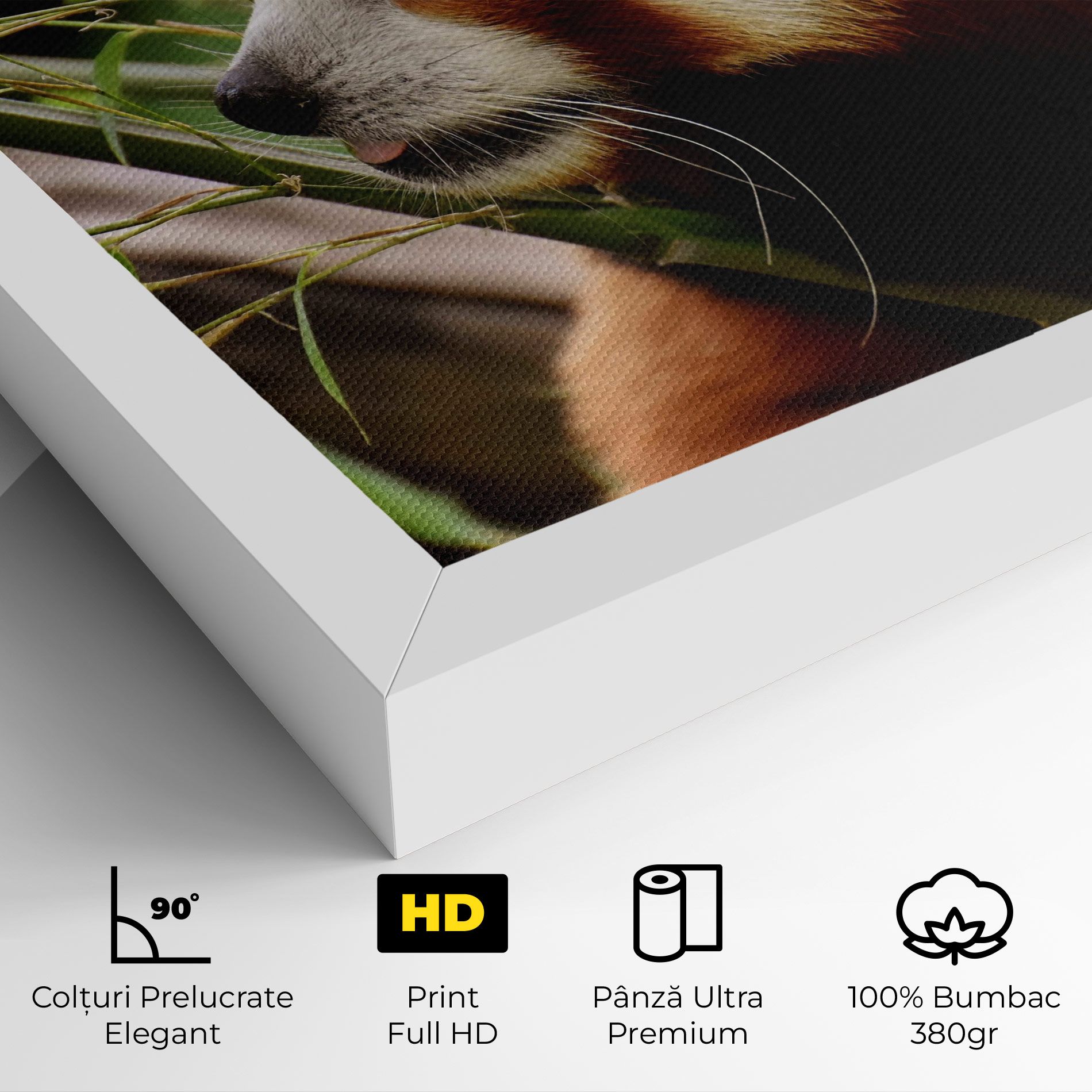 Cute Red Panda mockup 4