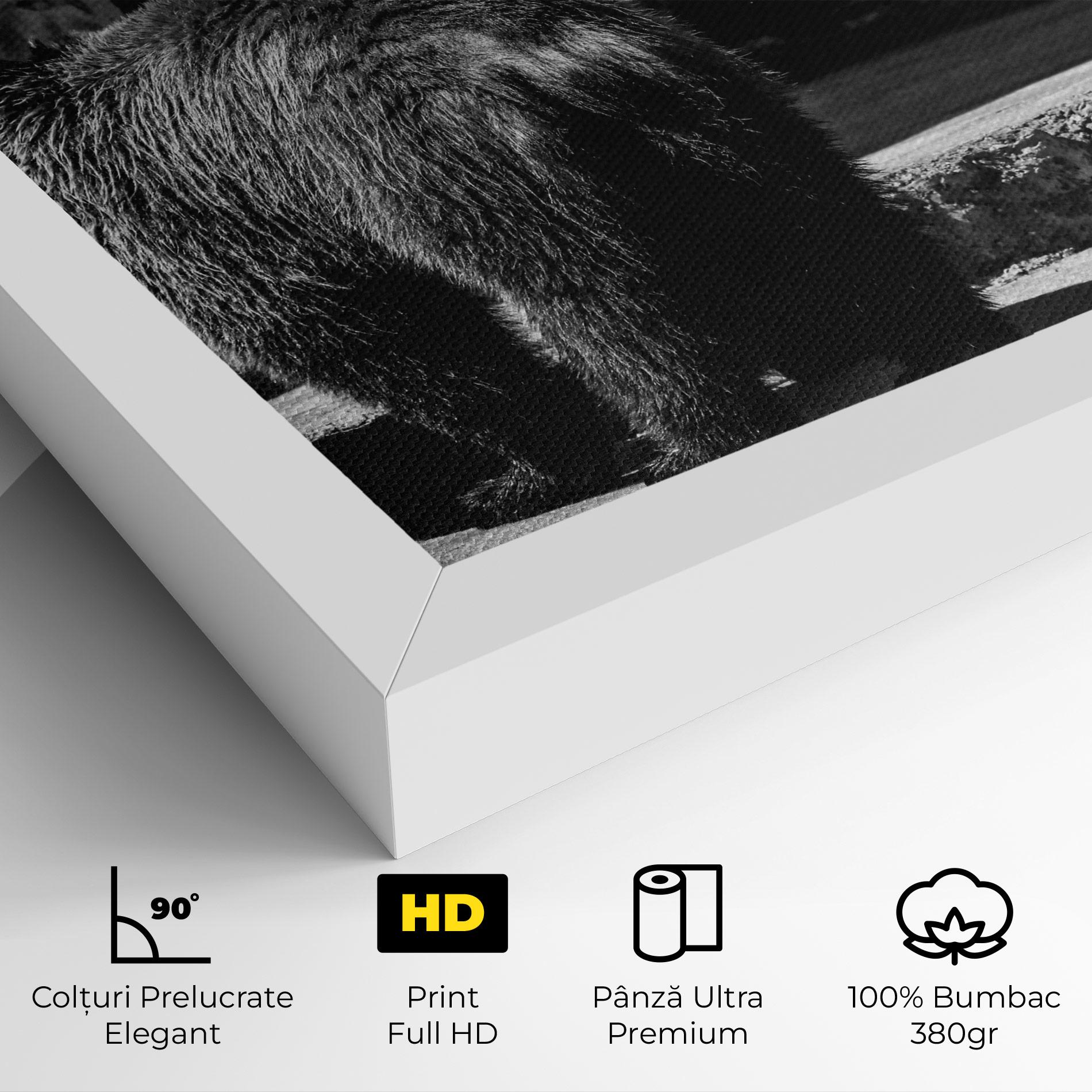 Tablou Canvas Grey Bear mockup 4
