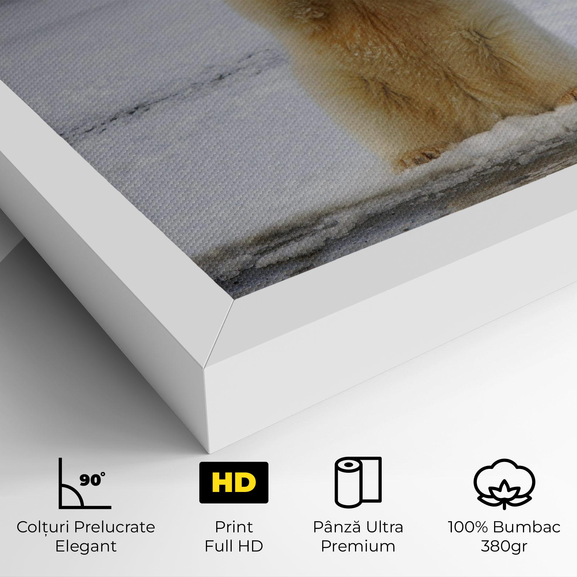 Tablou Canvas Icebear Praying mockup 4