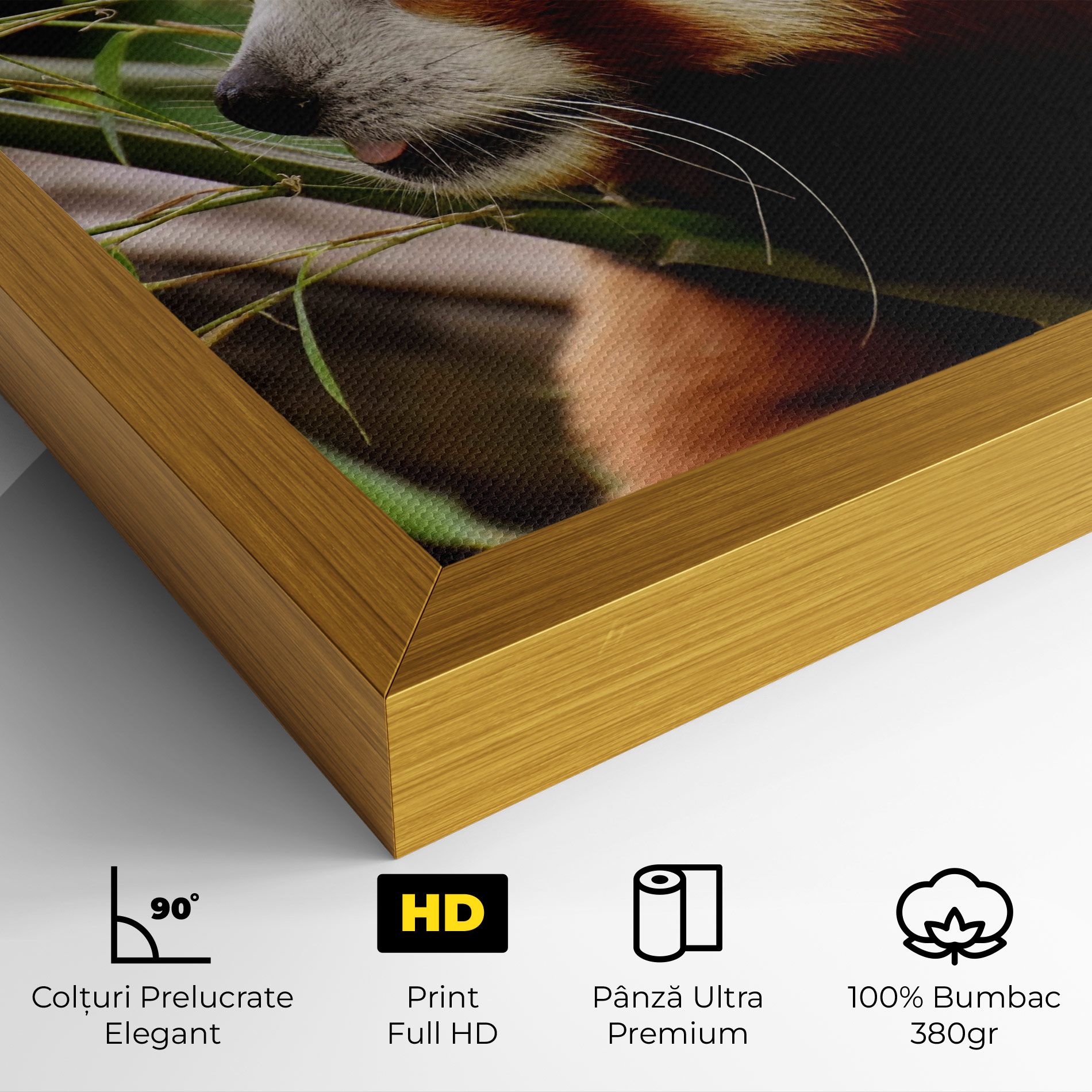 Cute Red Panda mockup 4