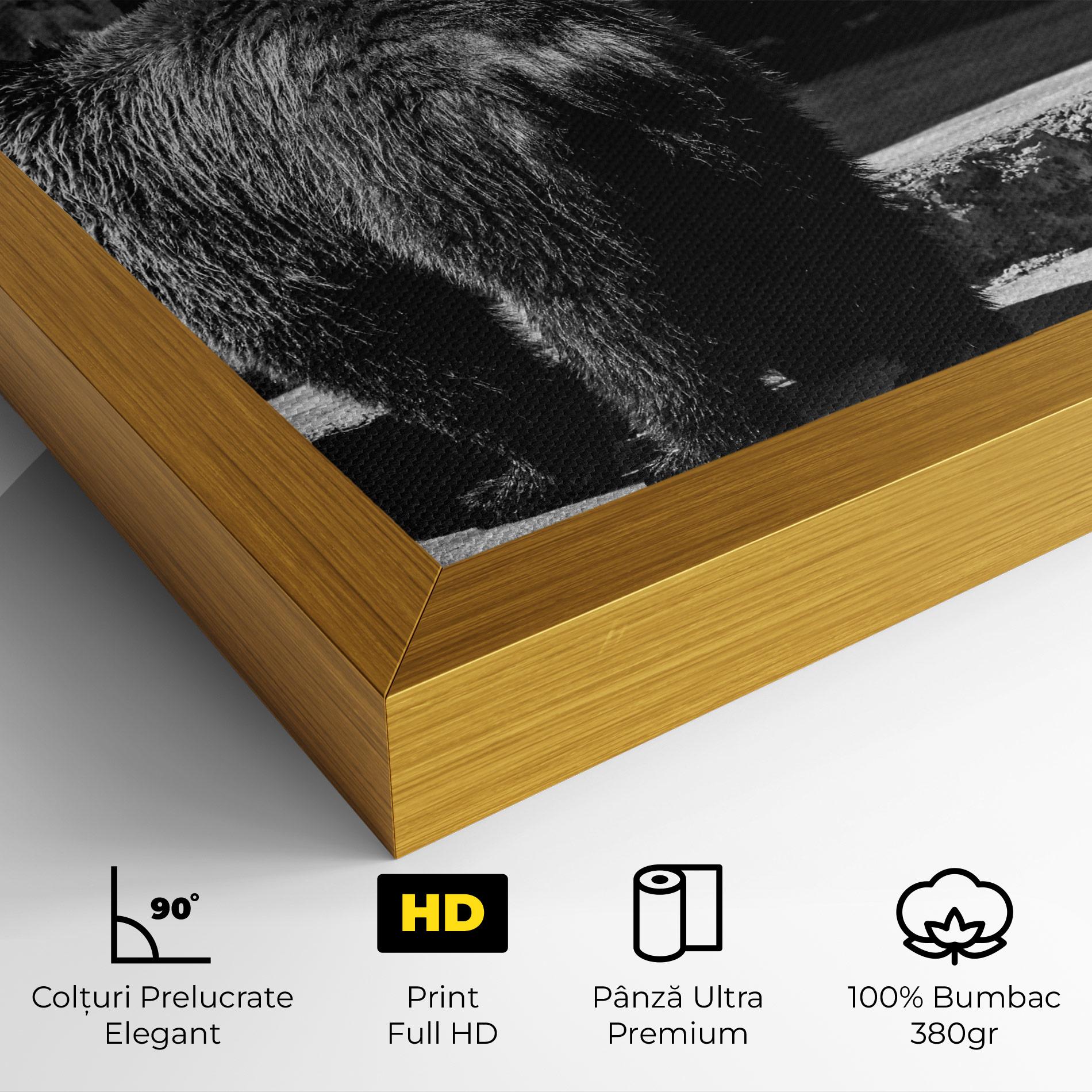 Tablou Canvas Grey Bear mockup 4