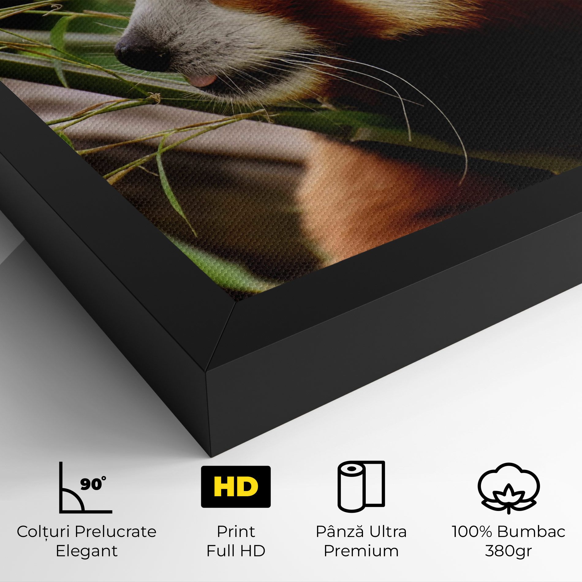 Cute Red Panda mockup 4